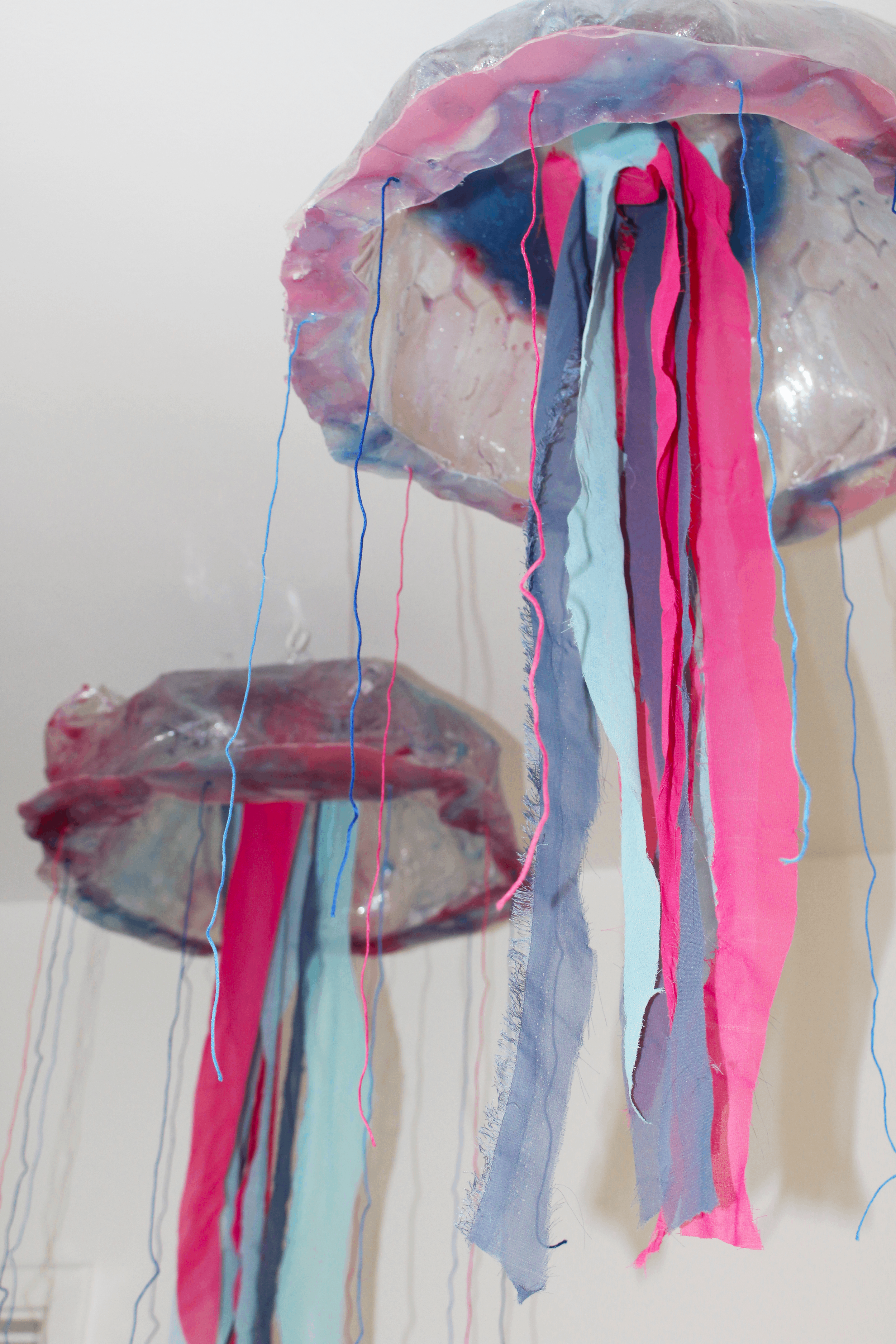 Jelly4.png