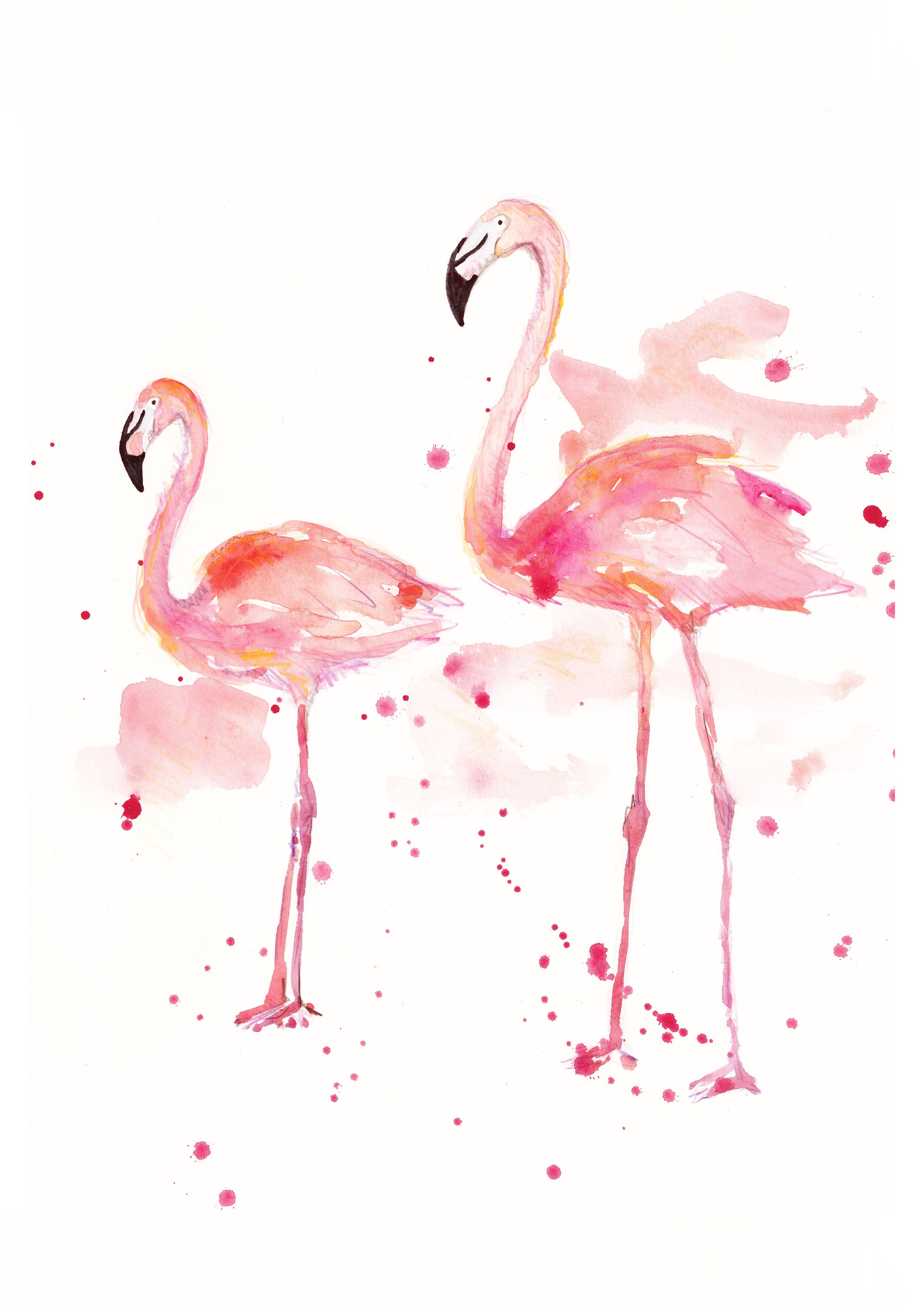 two flamingos TIF to use 2.jpg