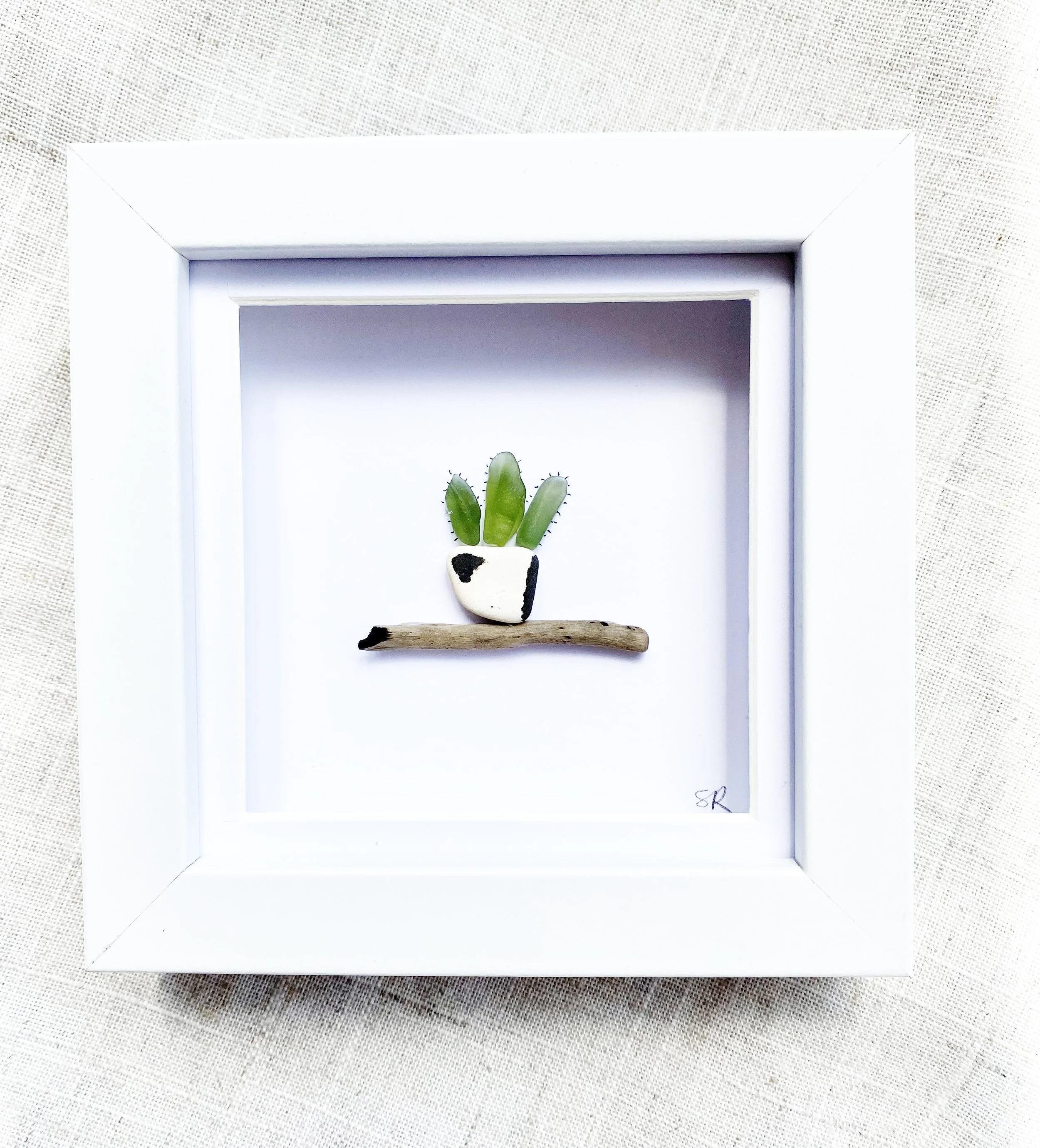 mini sea glass aloe_5.jpg