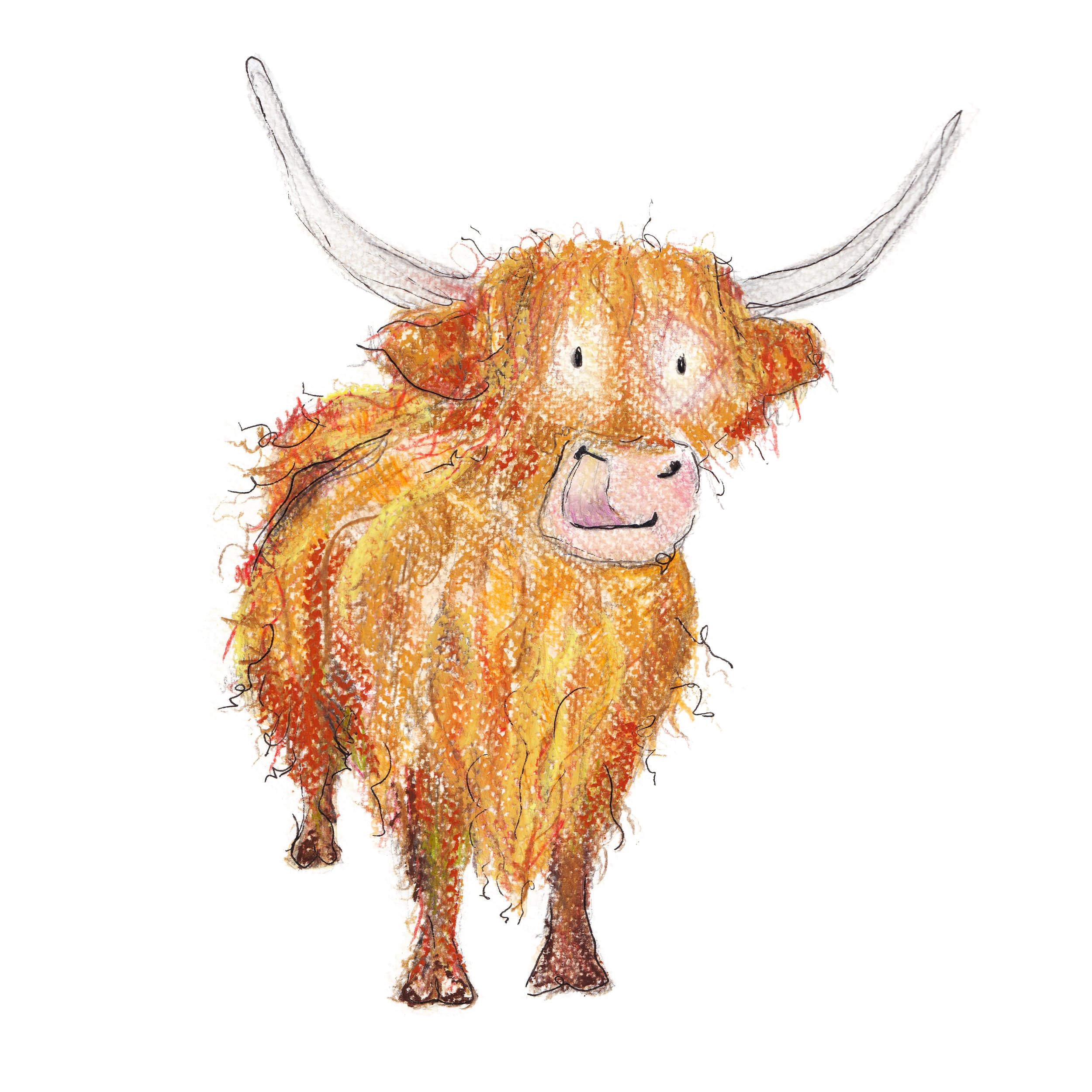 Highland Cow for logo copy.jpg