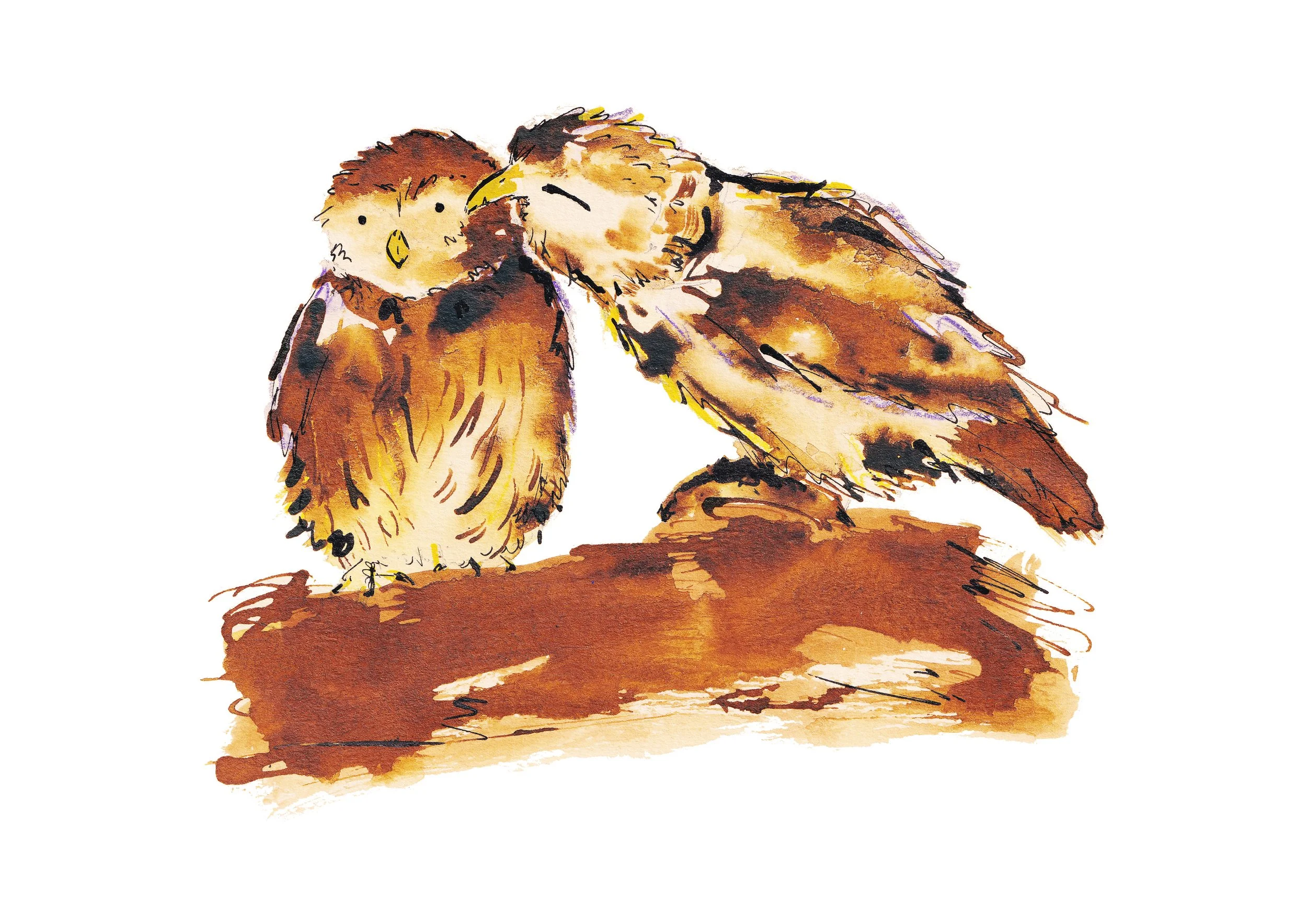 owl couple_single copy.jpg