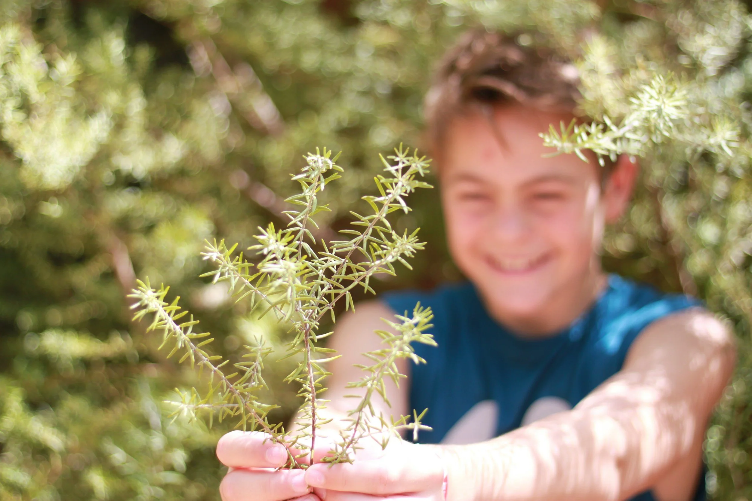 A boy holding a small green plant with spiky leaves in an outdoor garden or forest setting.