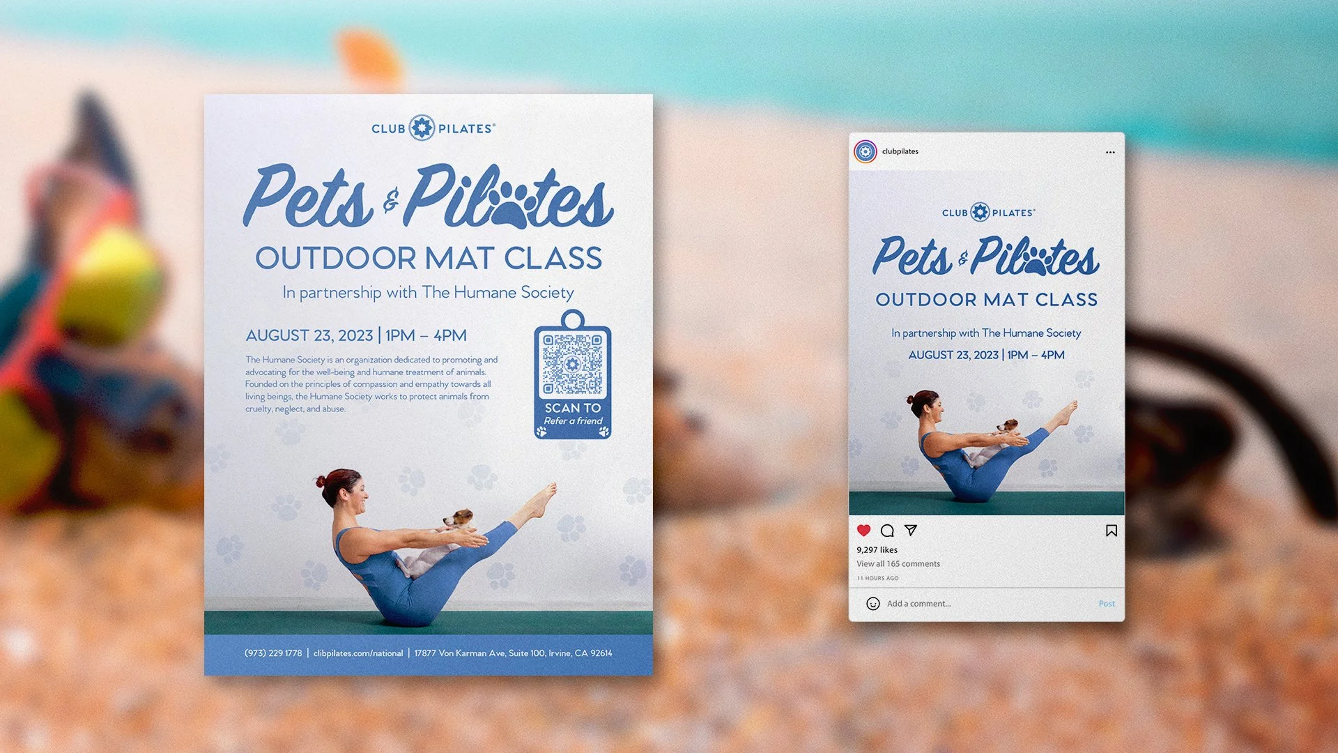 Pets & Pilates