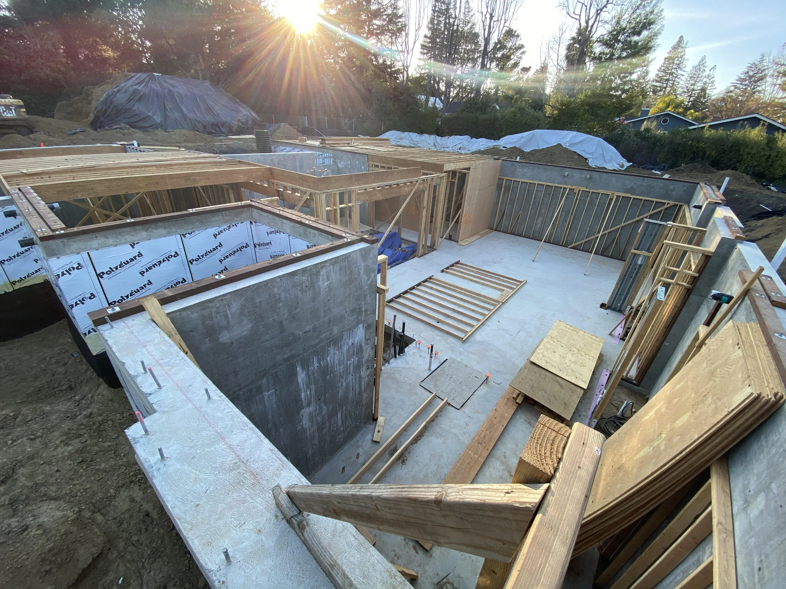 Just like a sunflower, wood builds itself towards the sun until corralled.