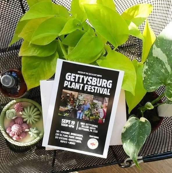 Gettysburg Plant Expo