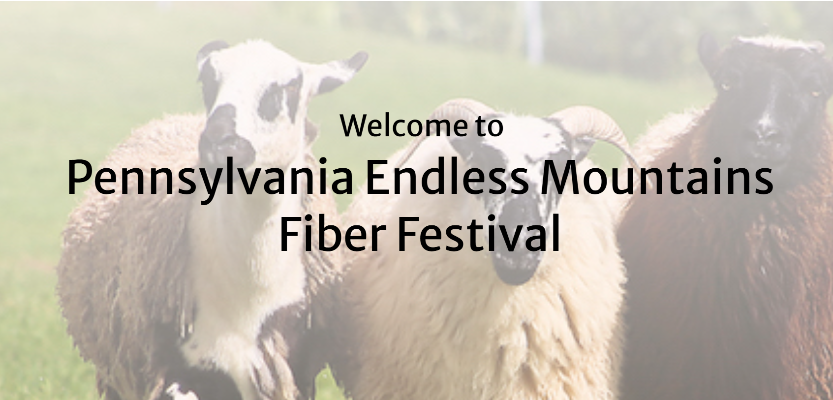 PA Endless Mountains Fiber Festival
