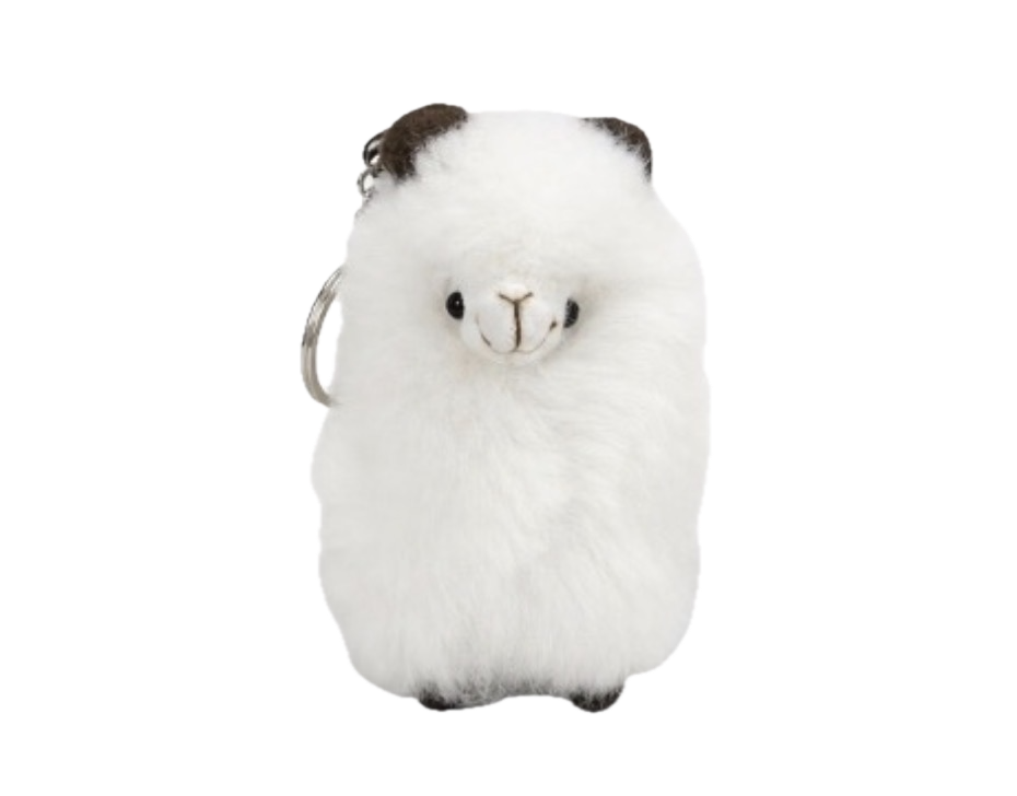 IMG_9301.png