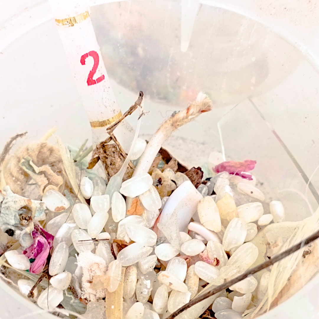 MGG - Vista exposición 9.png