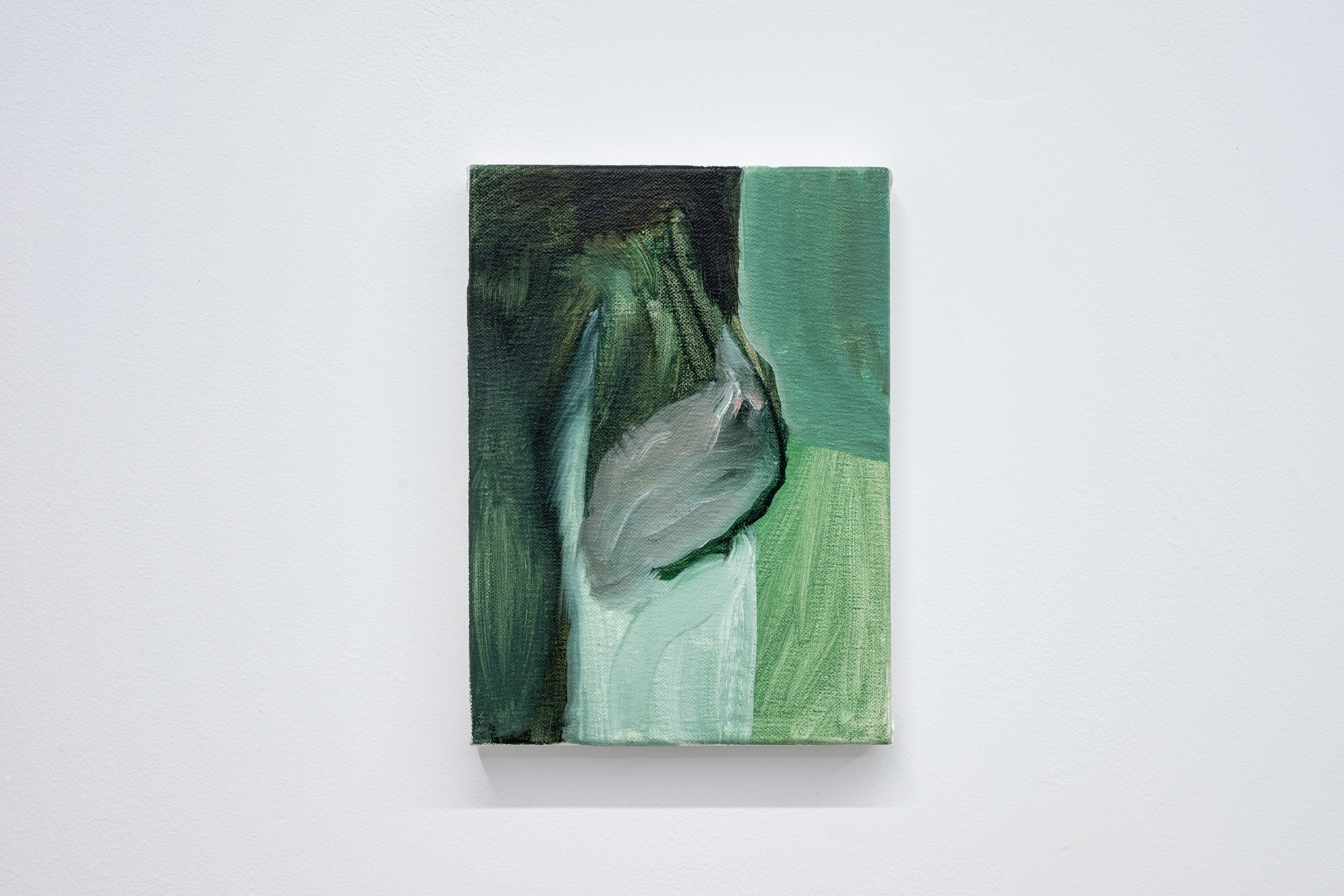 ElMicoBlau_EduGil_GaleriaNeboa_2026_(@auraticafotografiadearte)_15.jpg