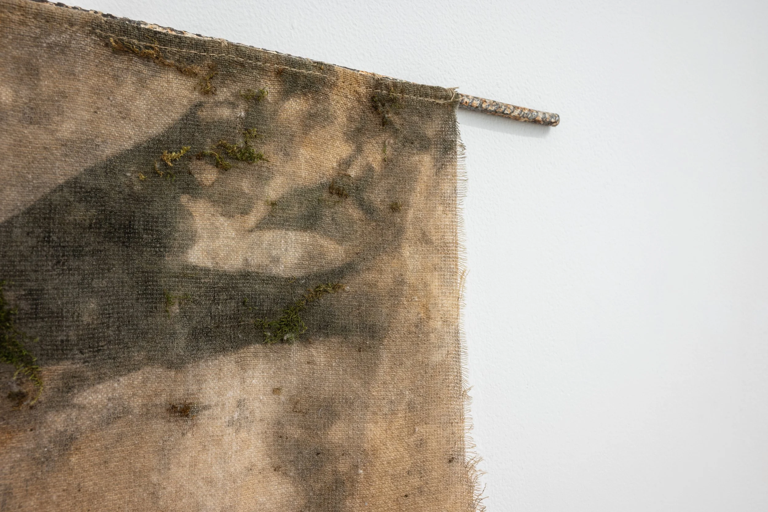 SUSTRATOHABITUAL_ROMANCORBATO_galerianeboa_@auraticafotografiadearte_11.jpg