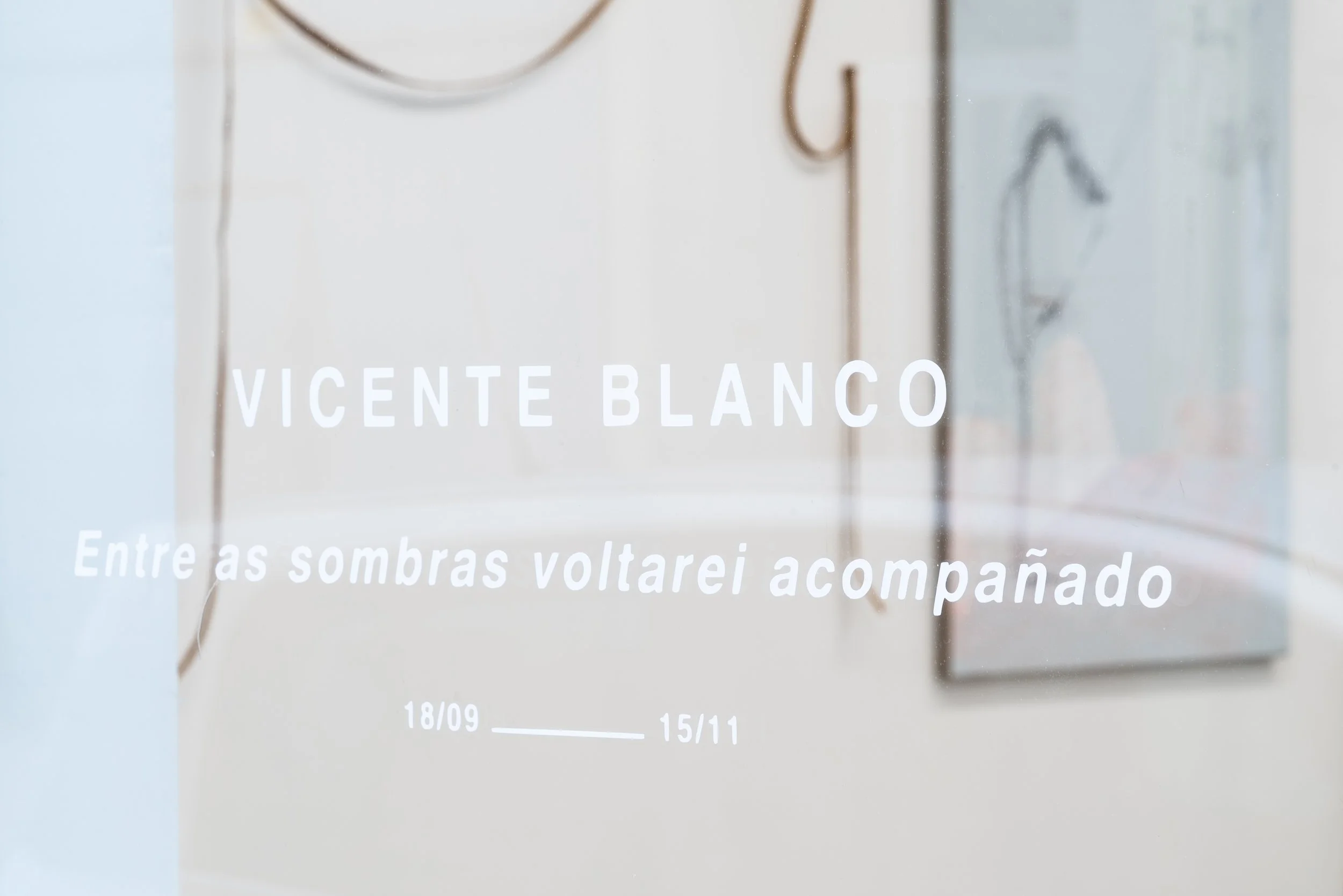 VicenteBlanco_NÉBOA_2025_(@auraticafotografiadearte)_32.jpg