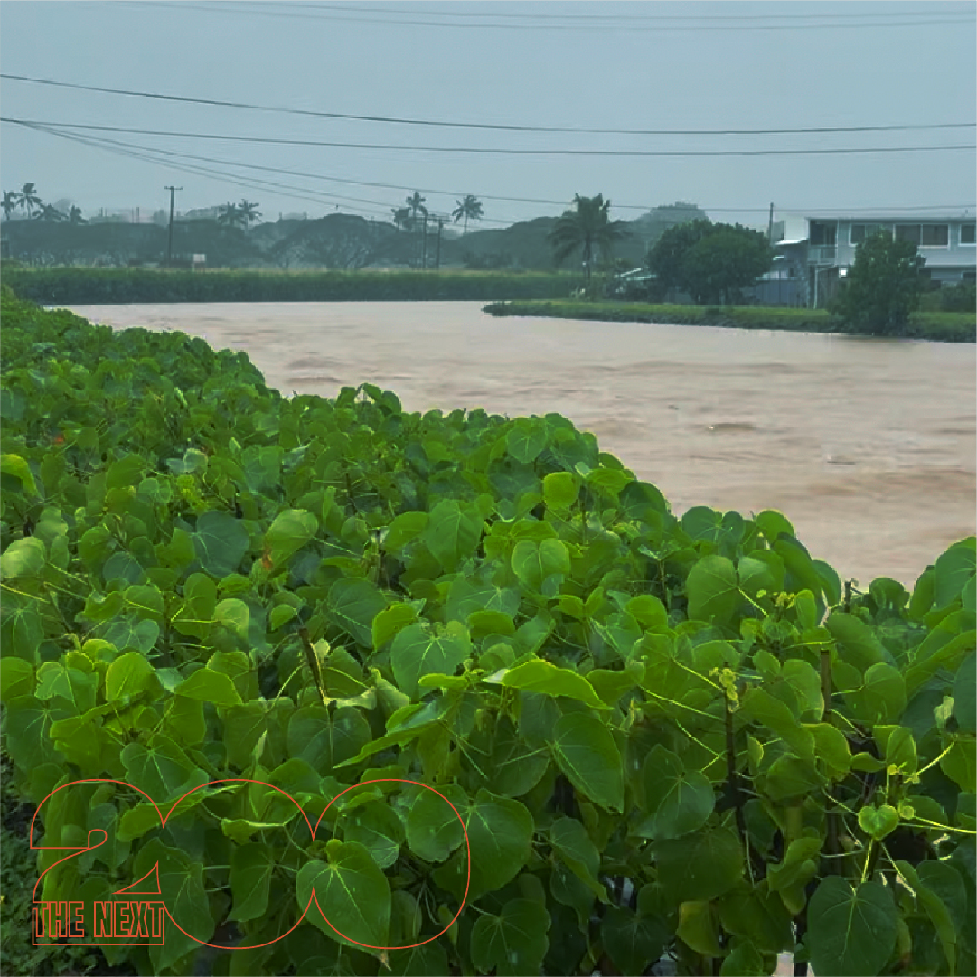After the Rains, We Rise