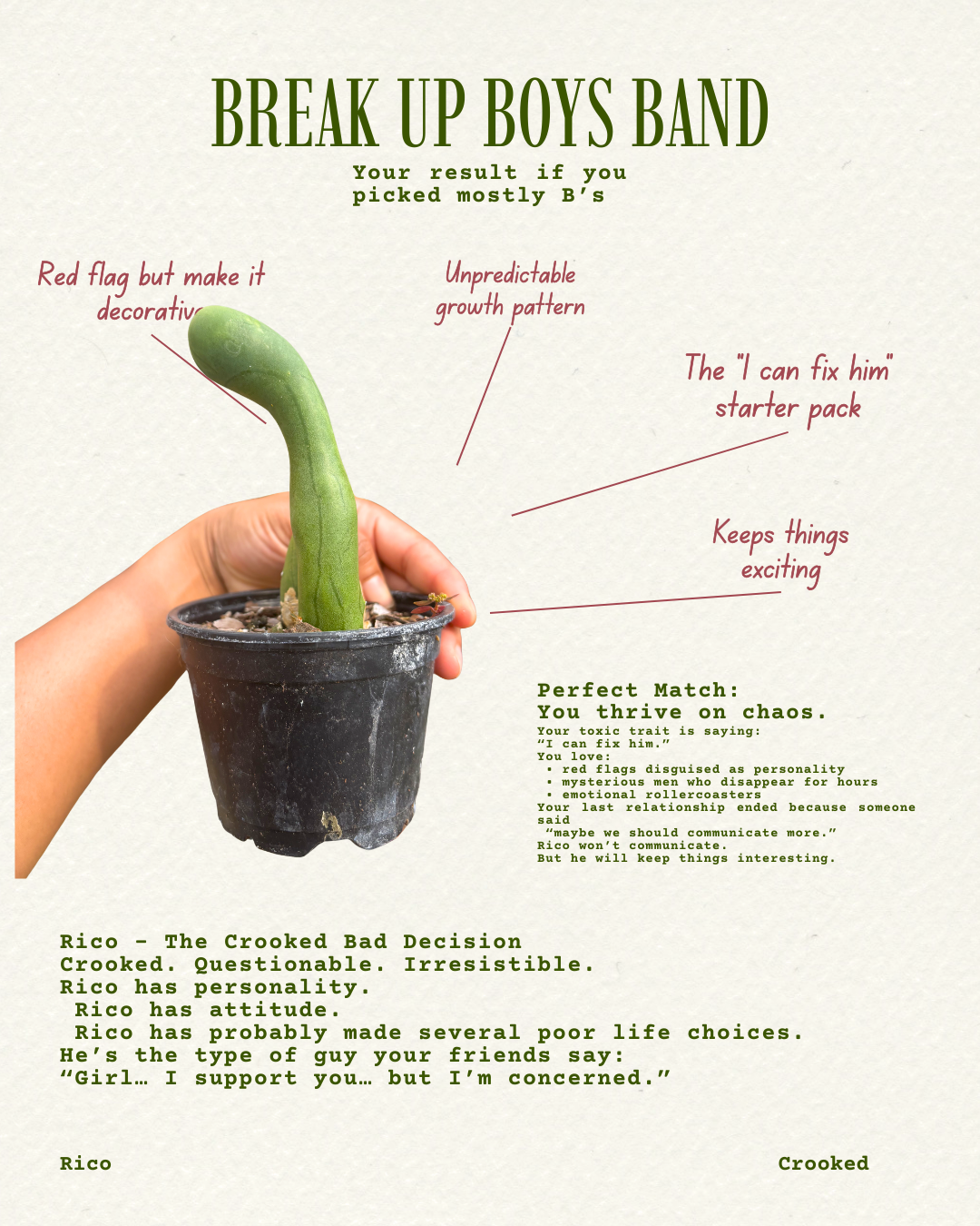 luxury purse product Instagram post - 2.PNG