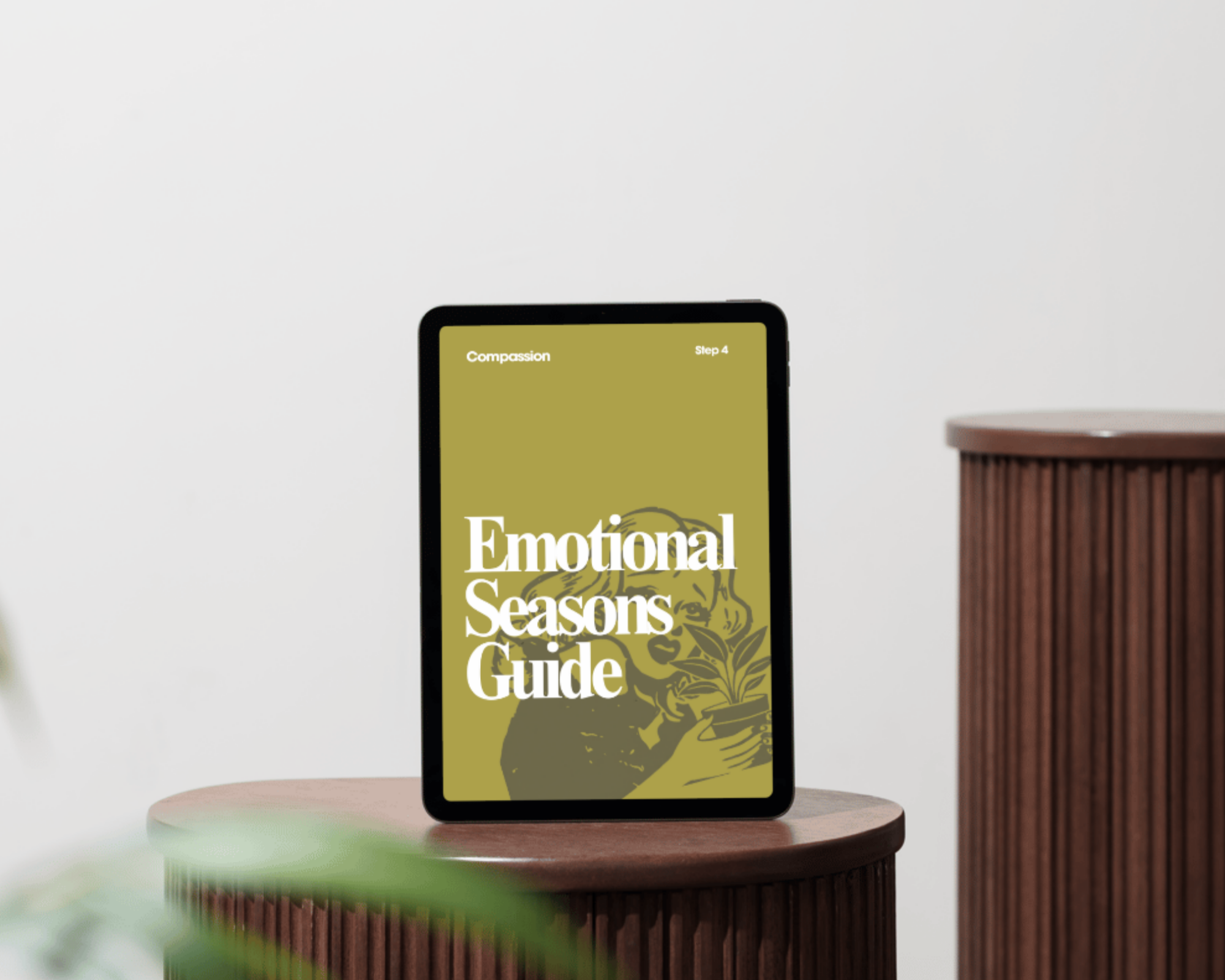 Emotional Seasons of Growth Guide