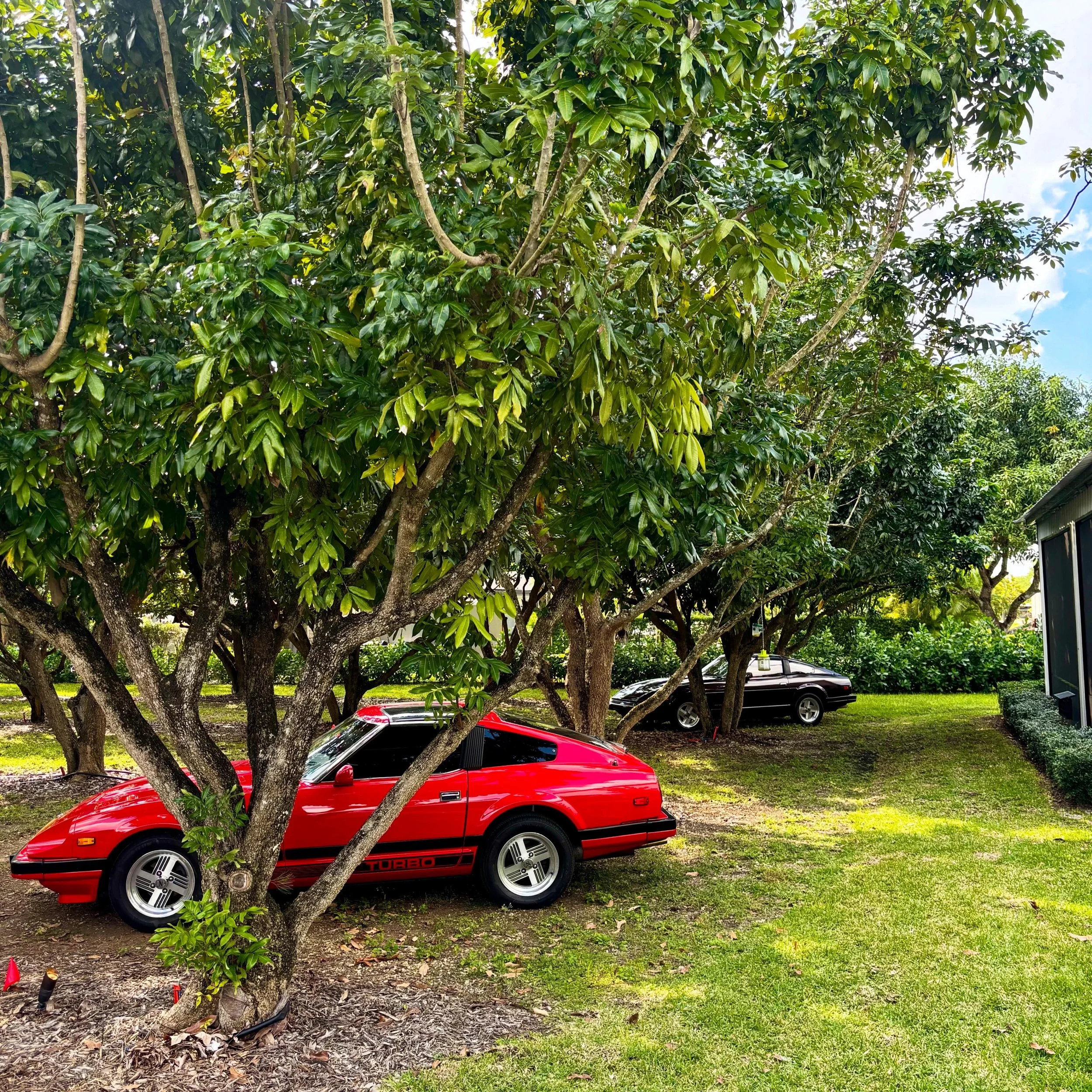 Just some 280ZX  Z31  S30&rsquo;s in the wild.