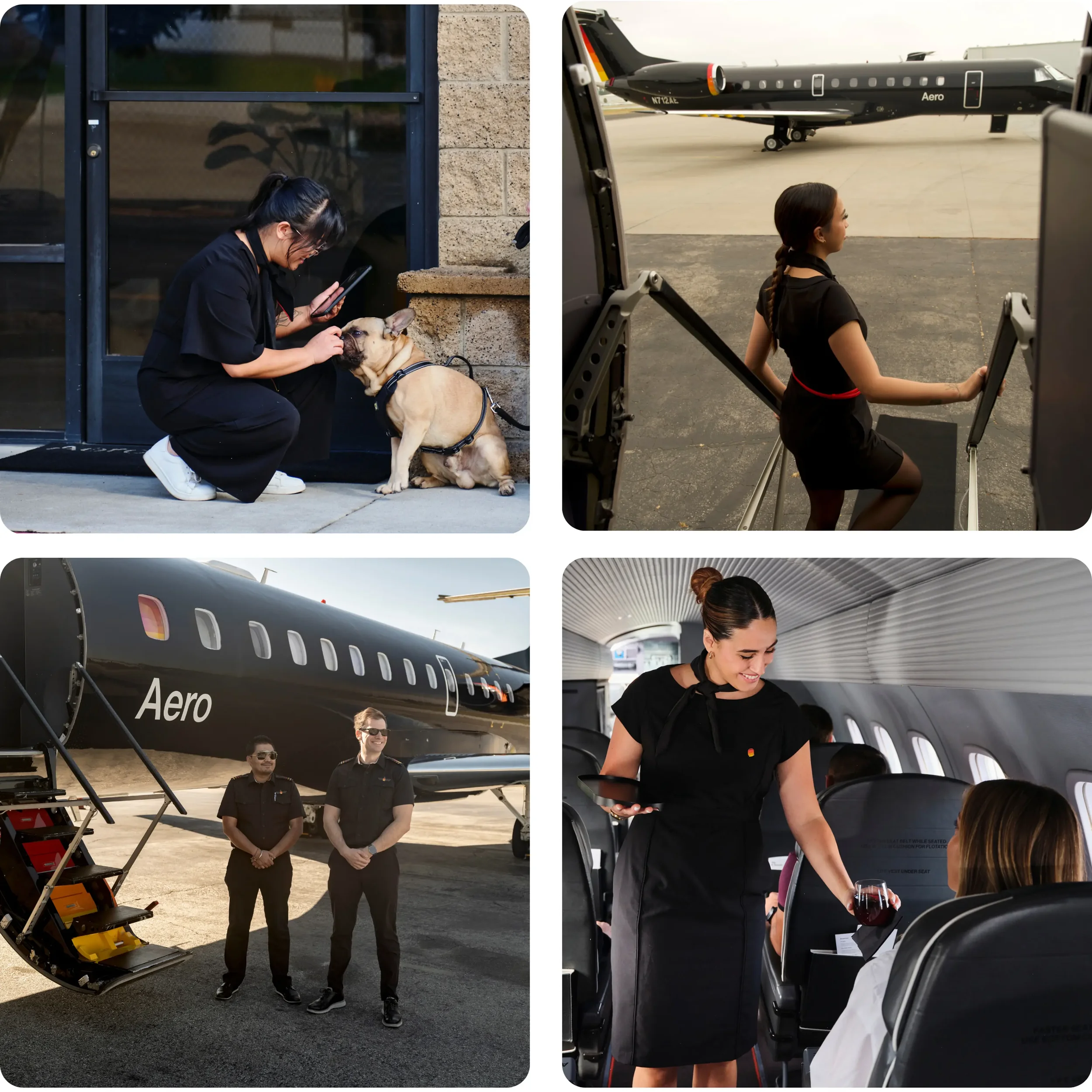 A woman kneeling outside a building, petting a French Bulldog near the door; a woman sitting on a wheelchair at the airport next to a private jet; two flight attendants standing outside an airplane labeled 'Aero'; a flight attendant serving wine to a passenger on a plane.