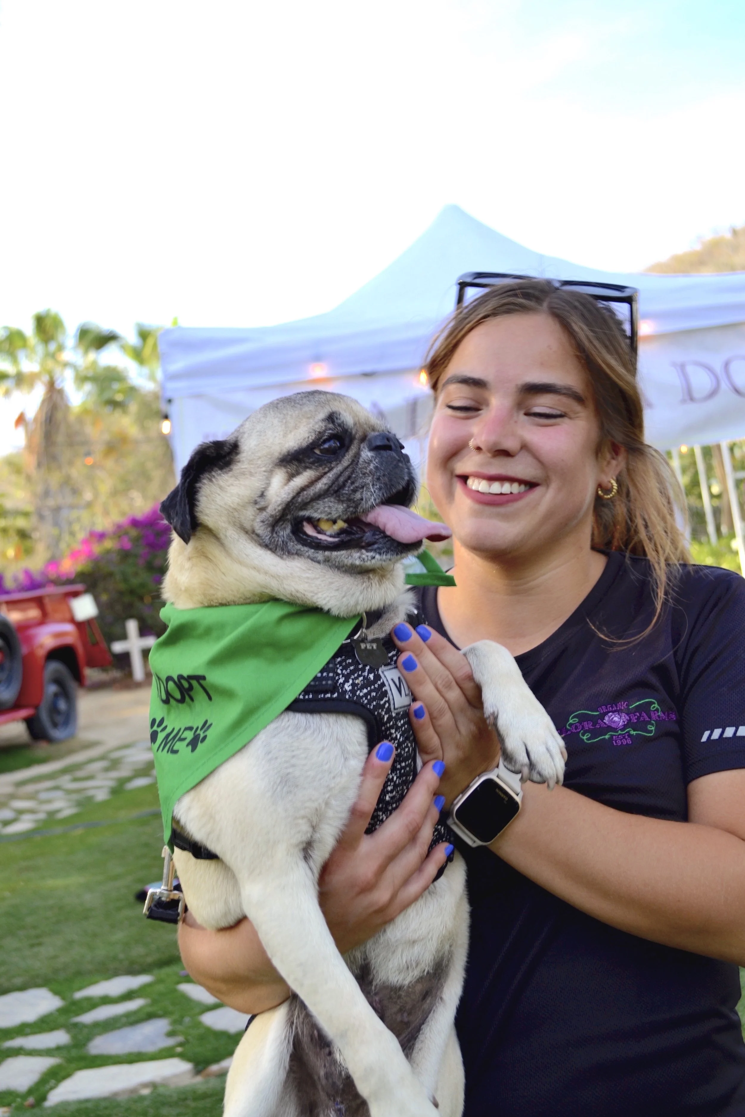 A young woman with brown hair and sunglasses on her head holding a smiling pug dog, which is wearing a green bandana, at an outdoor event with tents and palm trees in the background.