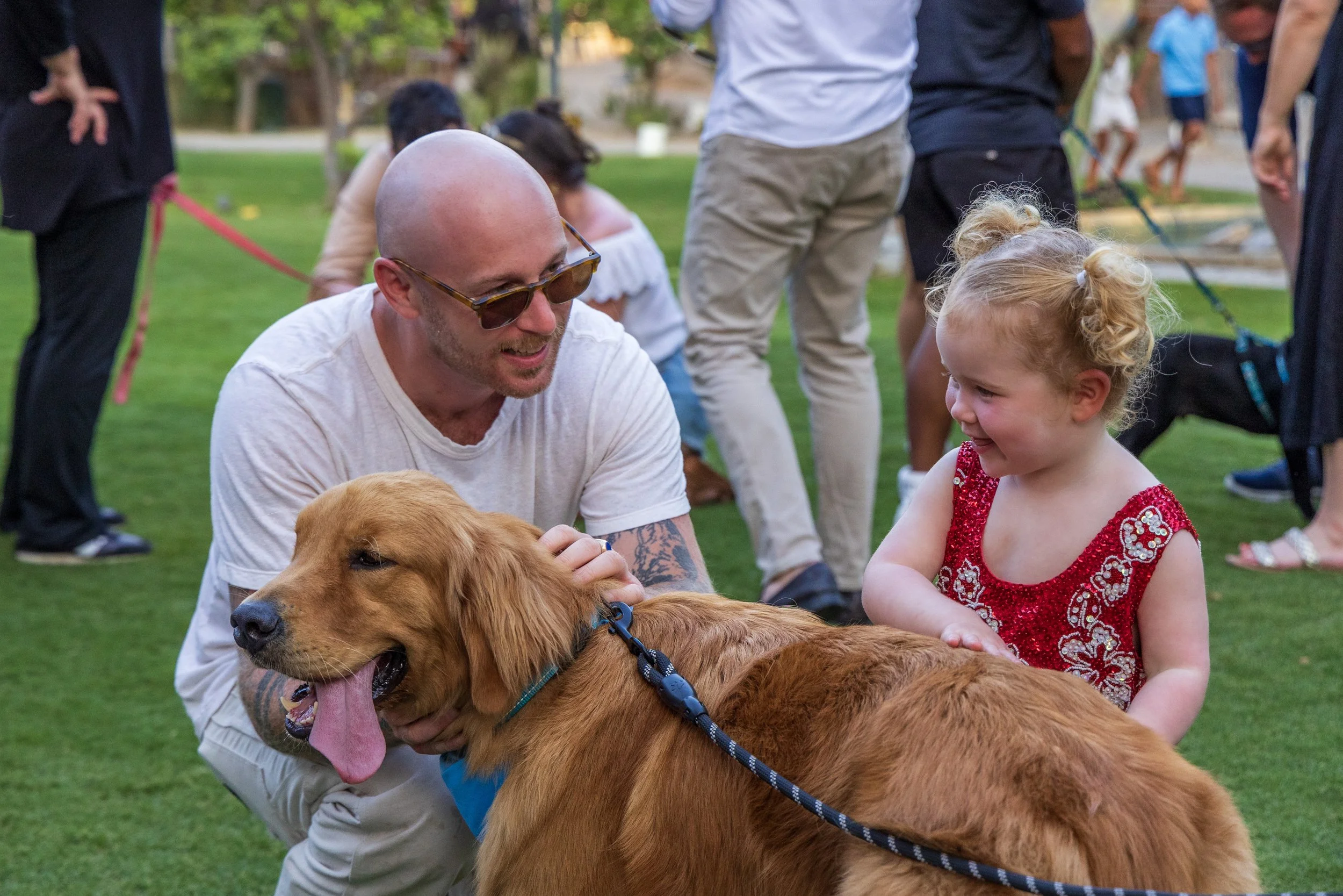 A man with sunglasses and a young girl in a red dress are petting a golden retriever dog outdoors with a group of people in the background on a grassy area.
