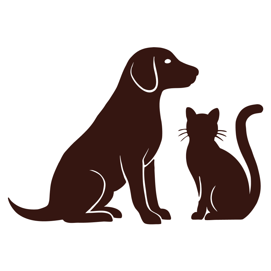 Silhouette of a dog and a cat sitting side by side