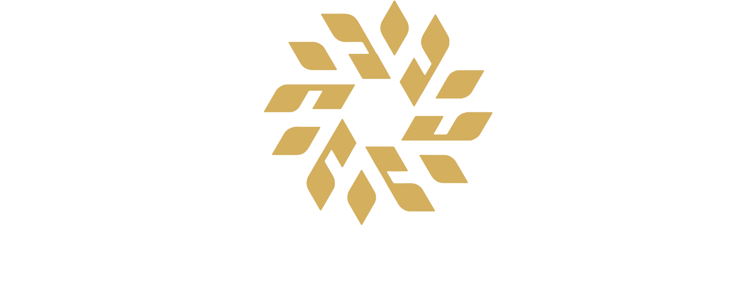 Nesbitt Accounting Systems