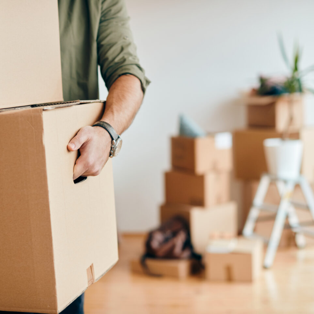 Person holding a cardboard box in a room with moving boxes and a small ladder in the background.