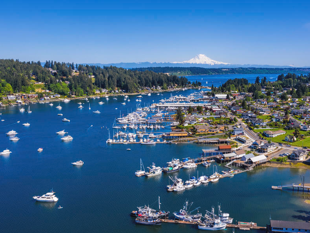 Aerial view of a marina along a waterfront with numerous boats docked. The surrounding area features houses and greenery, with a snow-capped mountain in the background under a clear blue sky.