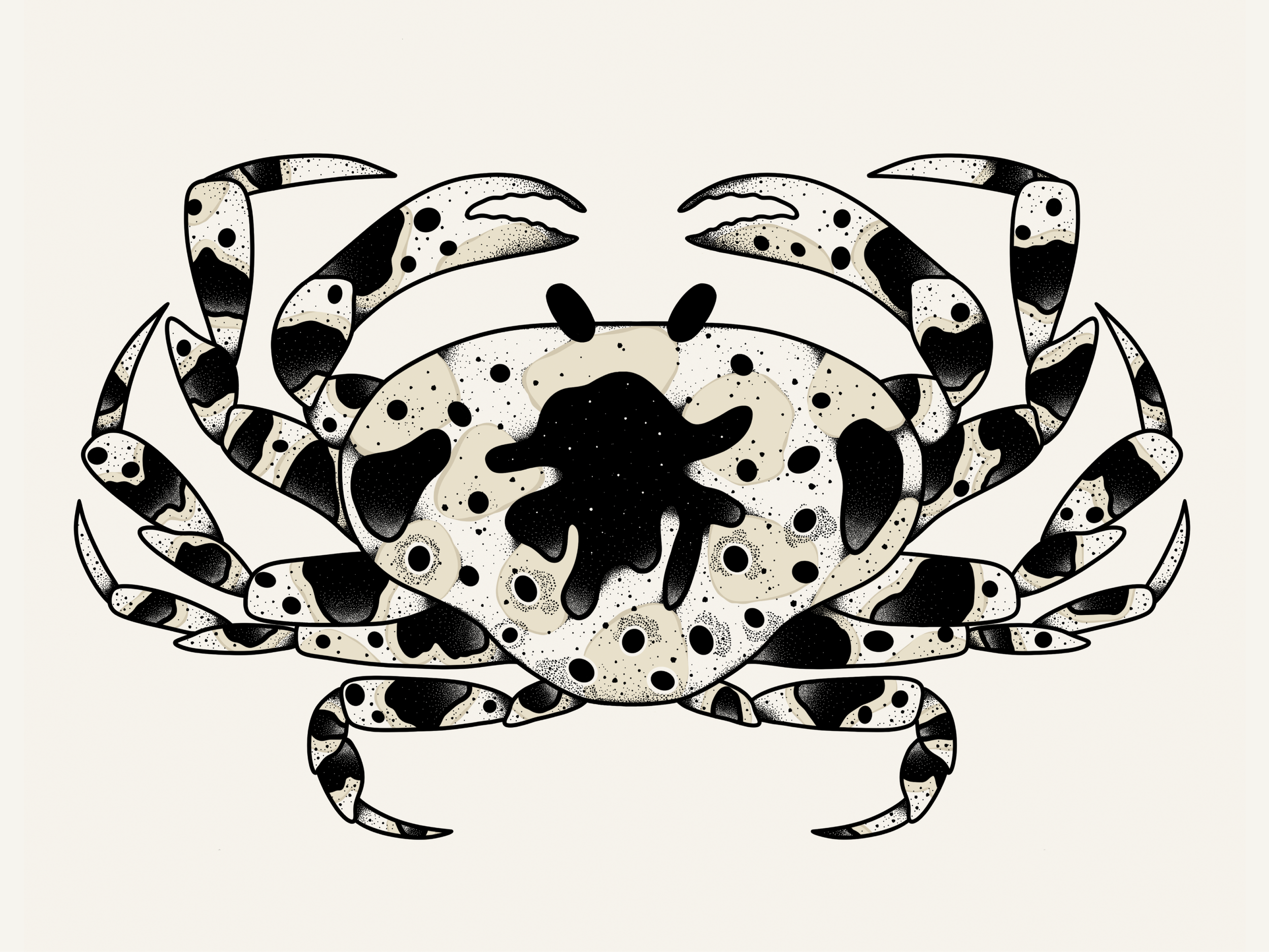 Ilustração estilizada de um caranguejo preto e branco com detalhes em pontilhado e manchas, sobre fundo branco.