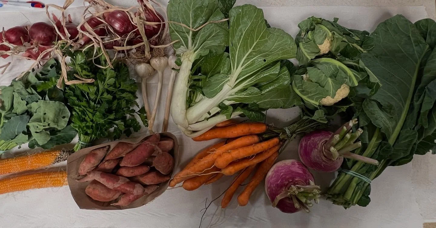 This is the last pick up week!! We loved having you as part of our CSA supporting @stoneledge.farm A sincere thanks to all our members who have supported this initiative this year and the farm&rsquo;s agriculture, we could t have done it without you!