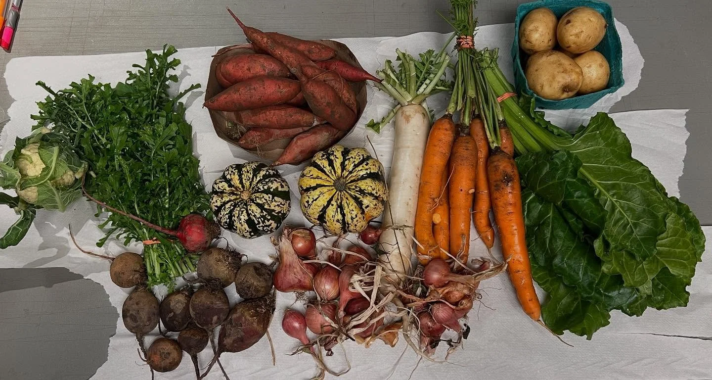 Week 20: Fall season is in blooooom! Sweet potatoes, potatoes, arugula, shallots, carrots, beets, and more in the shares of #organicvegetables🍆🥕🌶️ 

Thanks to our members who help run the show with us at pick up and the farm for cultivating such d