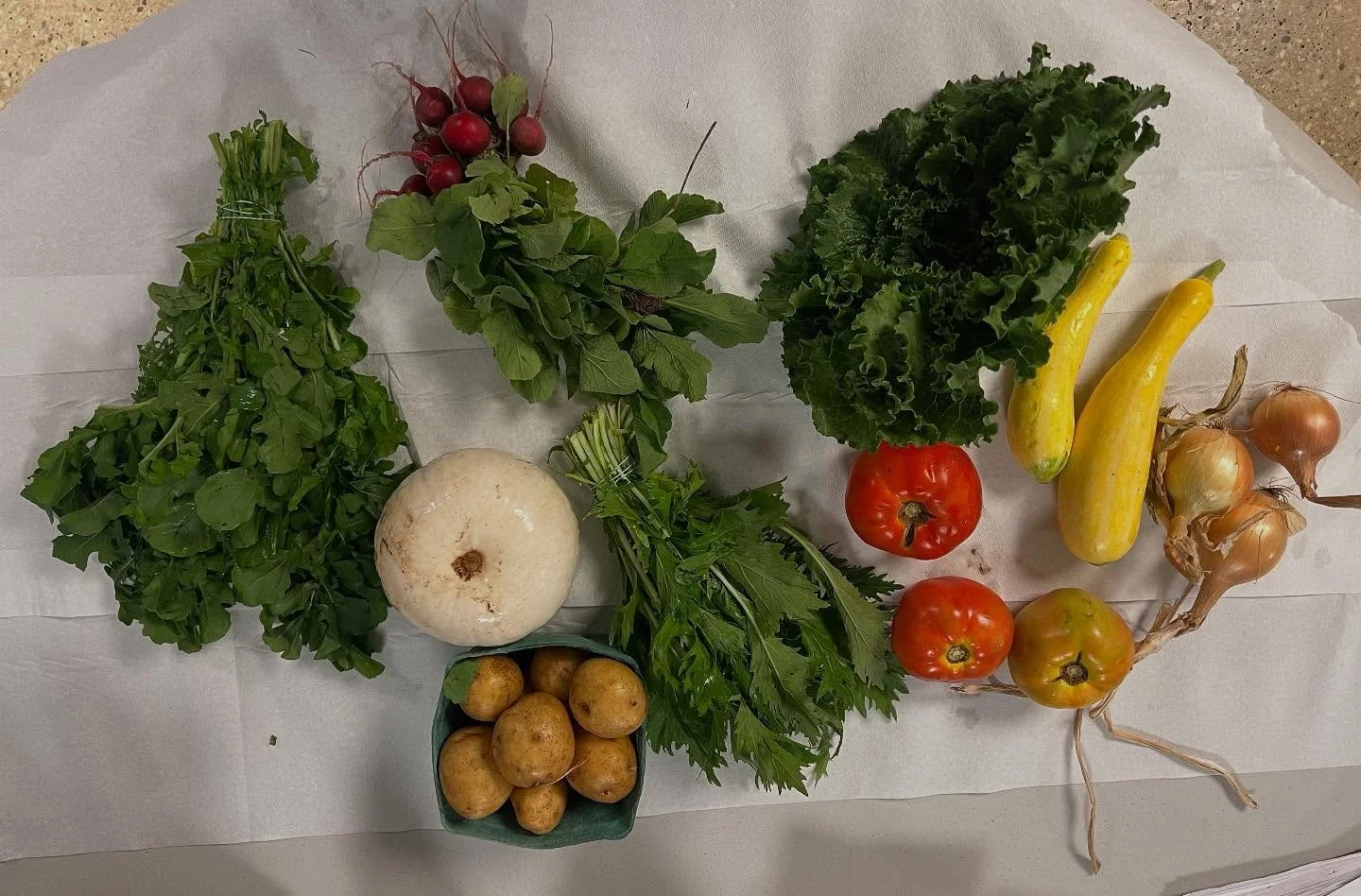 We have entered the Fall season!
Full share: white pumpkin, arugula, tomato, squash, green lettuce, onions, potatoes and more
Fruit: red apples and Concord grapes
Mushroom share: shiitake 

Pick up as usual at @pennsouthsocialservices Building 8A and