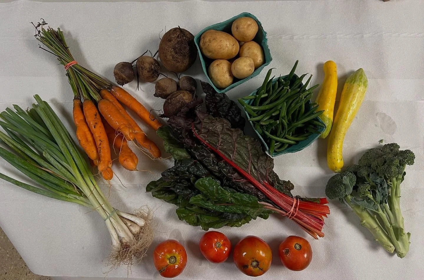 This week we have a full share with scallions, potatoes, carrots, Swiss chard and still some tomatoes and a beautiful bouquet of basil. 
Fruit share: apples and small pears
Mushroom share: buttons
Thank you to our member volunteers for participation
