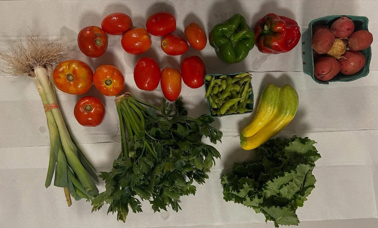 September is here! We hope everyone had a good Labor Day weekend. We&rsquo;re gearing up for the Fall season with still tons of tomatoes in the full share, red peppers, leeks, celery, and lettuce!
Fruit share: plums and green apples 
Mushroom: portob