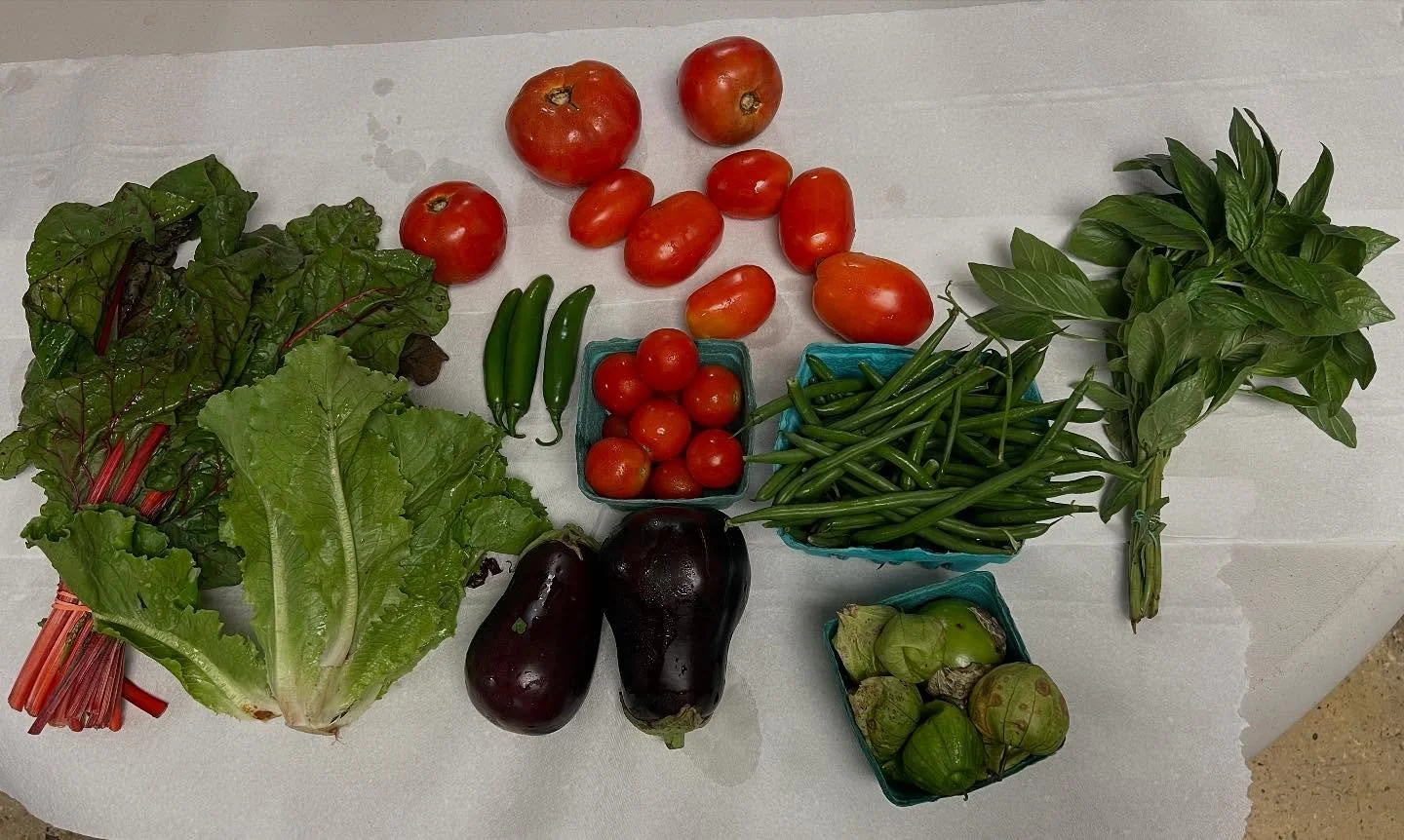 This is the last week of August and second week of the Fall share:
Full share: tomatoes, eggplants, lettuce, Swiss chard, green beans and so much more!
Fruit share: peaches and Asian pears
Mushroom share: cremini

Thank you to our members for being s