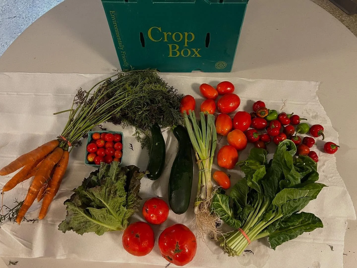 The Fall share has begun! this week we have the following organic veggies:
Full share: lettuce, tomatoes, spring onions, zucchini, Italian hot peppers and more
fruit share: pears and nectarines
Mushroom share: shiitake
A big thank you to our members 