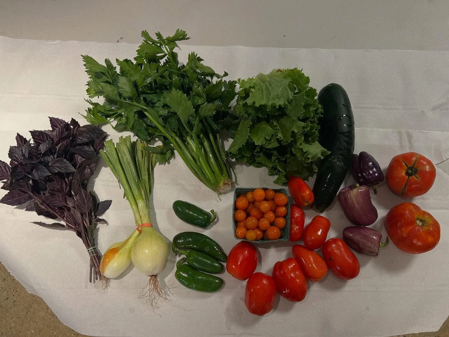 Mid August here we@come with the tomato festival!! Organic vegetables, in the full share
Fruit from neighboring farms&mdash; apricots and donut peaches 
Button mushrooms in the mushroom share

And a big thank you to the volunteers for all your assist