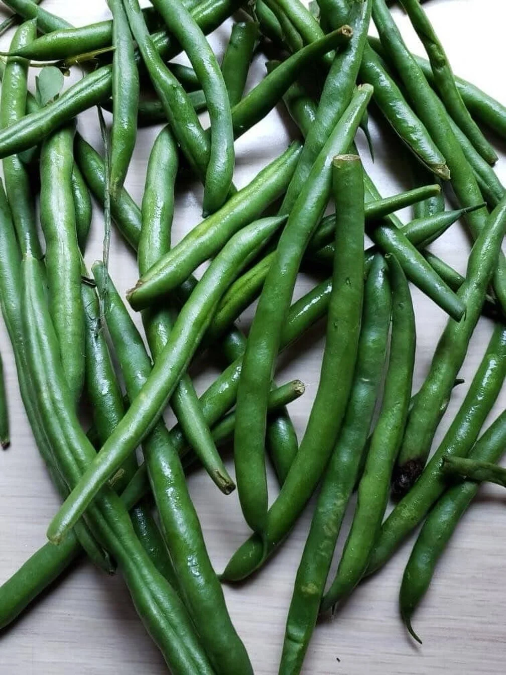 Remember to sign up with link in bio and tell your friends! Last sign up day is at the end of May and we hope to see you @hudson_guild 
@stoneledge.farm has been farming organic produce for almost 30 years&mdash; we&rsquo;re lucky that they give us t
