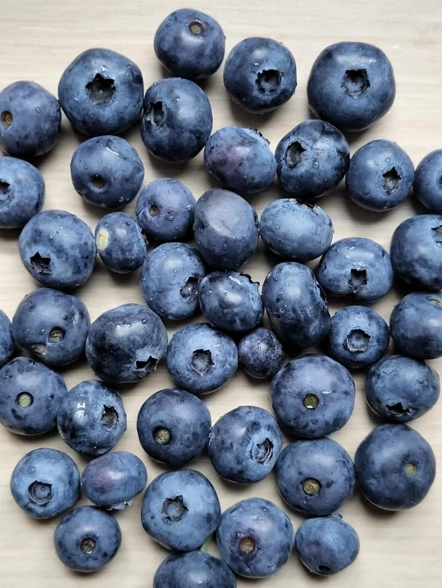 We&rsquo;re inching closer to the first pick up day&mdash; please don&rsquo;t forget to sign up through the link in bio!
@stoneledge.farm #chelseacsa