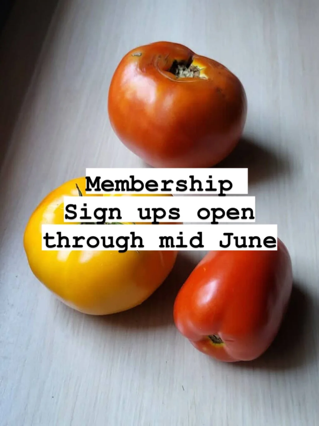 @stoneledge.farm has extended membership sign ups@through mid June. The membership rate is prorated if you sign up after the first pick up date!
#organicvegetables
An easy way to eat healthy vegetables when prices at grocery stores keep going up&mdas