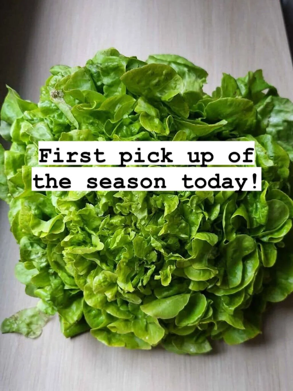 See you all at the first pick up of the season today @hudson_guild Elliot Center on W 26th between 9th and 10th Ave. Pick up is from 4-7pm, please bring your own bag to unload the boxes as we reuse them all season!
Remember to sign up for your shift;