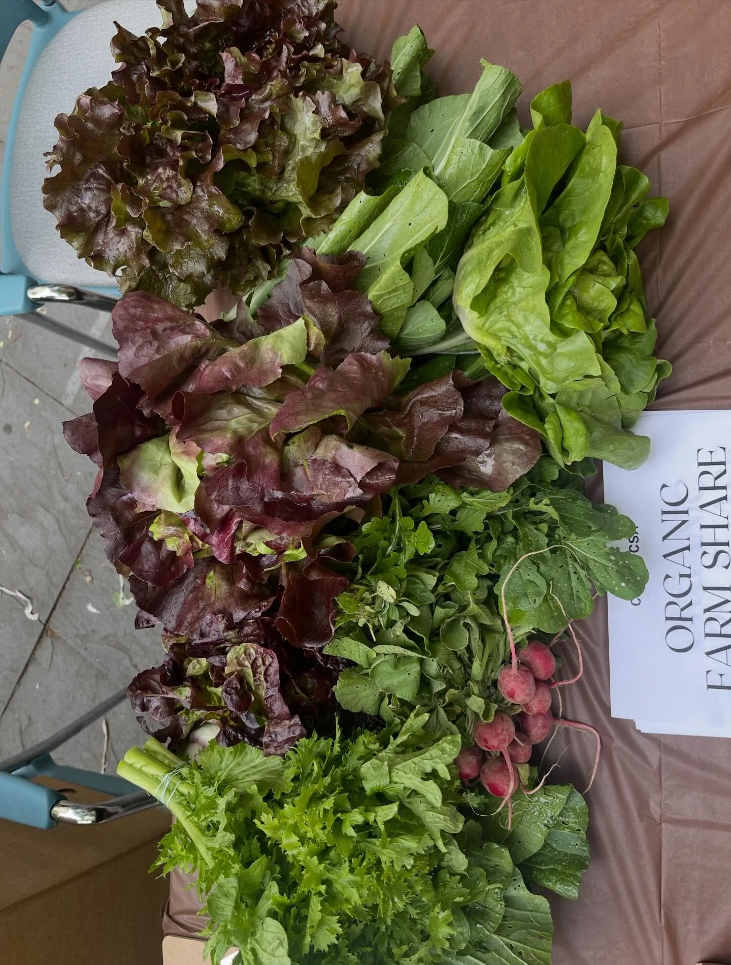 The first pick up took place last week! We love our @stoneledge.farm veggies and our host @hudson_guild