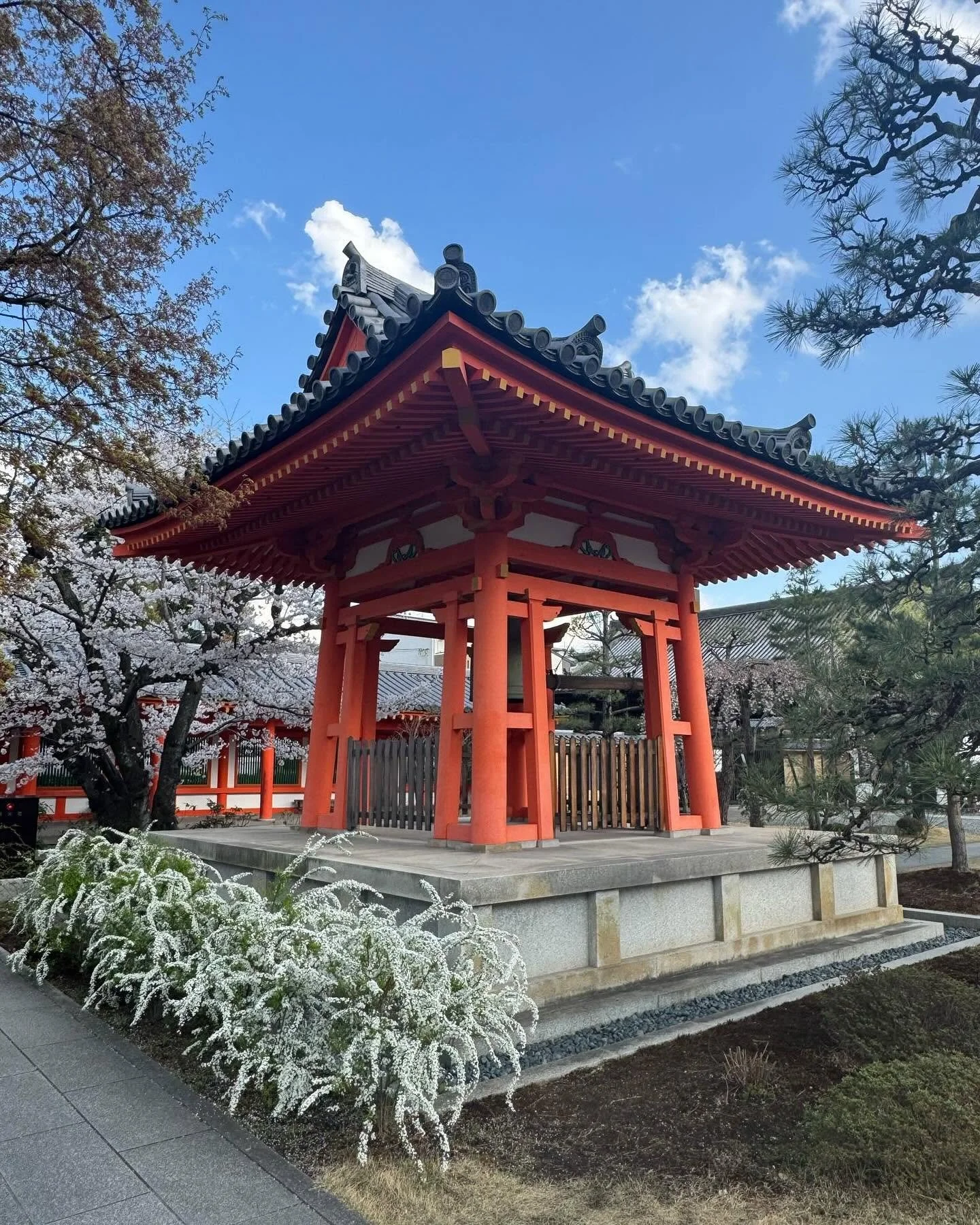 A Mother-Son Adventure Through Japan: Culture, Cuisine and Connection