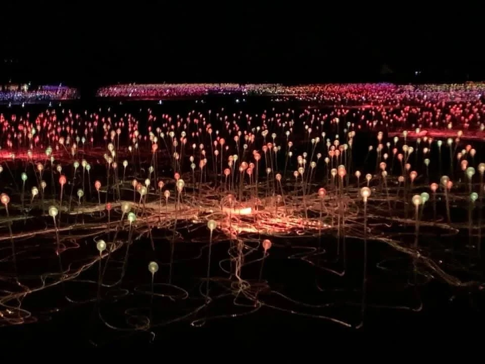 There&rsquo;s something pretty special about Uluru 🌅 

One of the highlights has to be the Field of light . Imagine walking through this maze of lights with Uluru as your backdrop and a sky full of stars above you. It really is an experience to reme