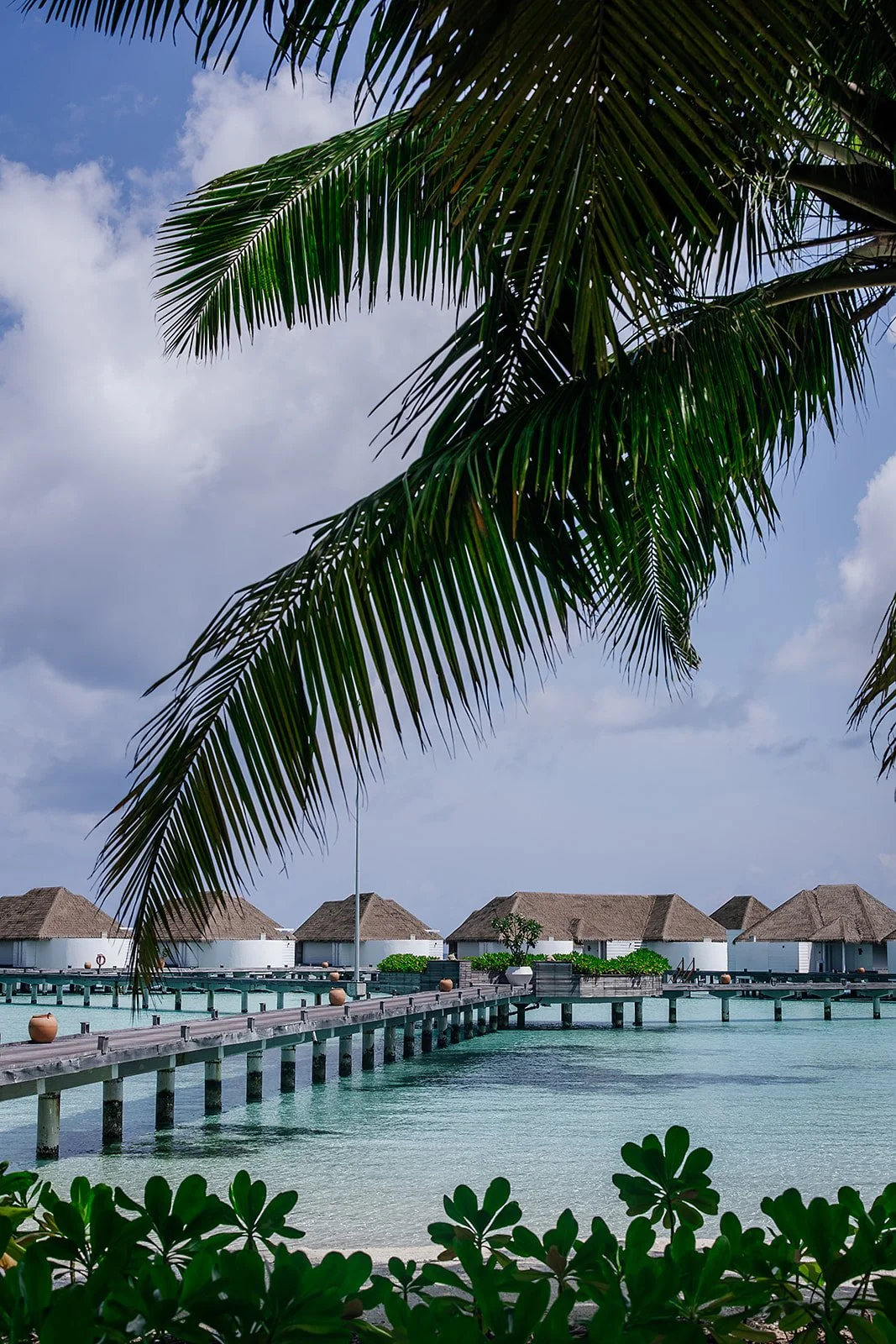 Overwater bungalows with thatched roofs and a wooden pier in a tropical setting, framed by palm leaves, on a cloudy day.