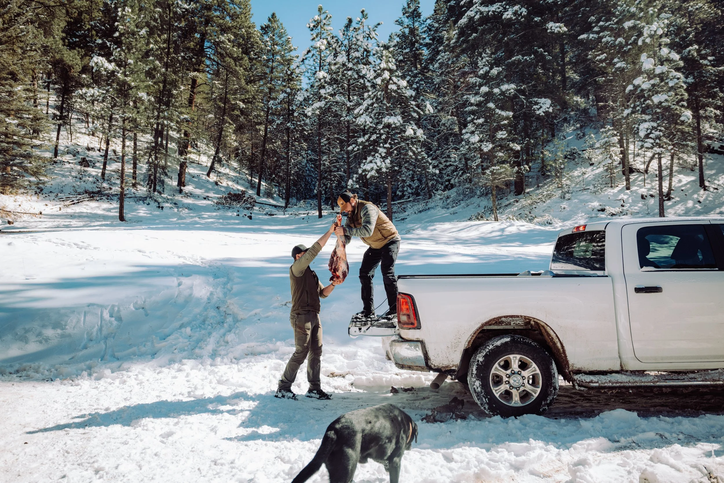 Two men unloading a large piece of meat from the back of a white pickup truck in a snowy forested area, with a black dog nearby.