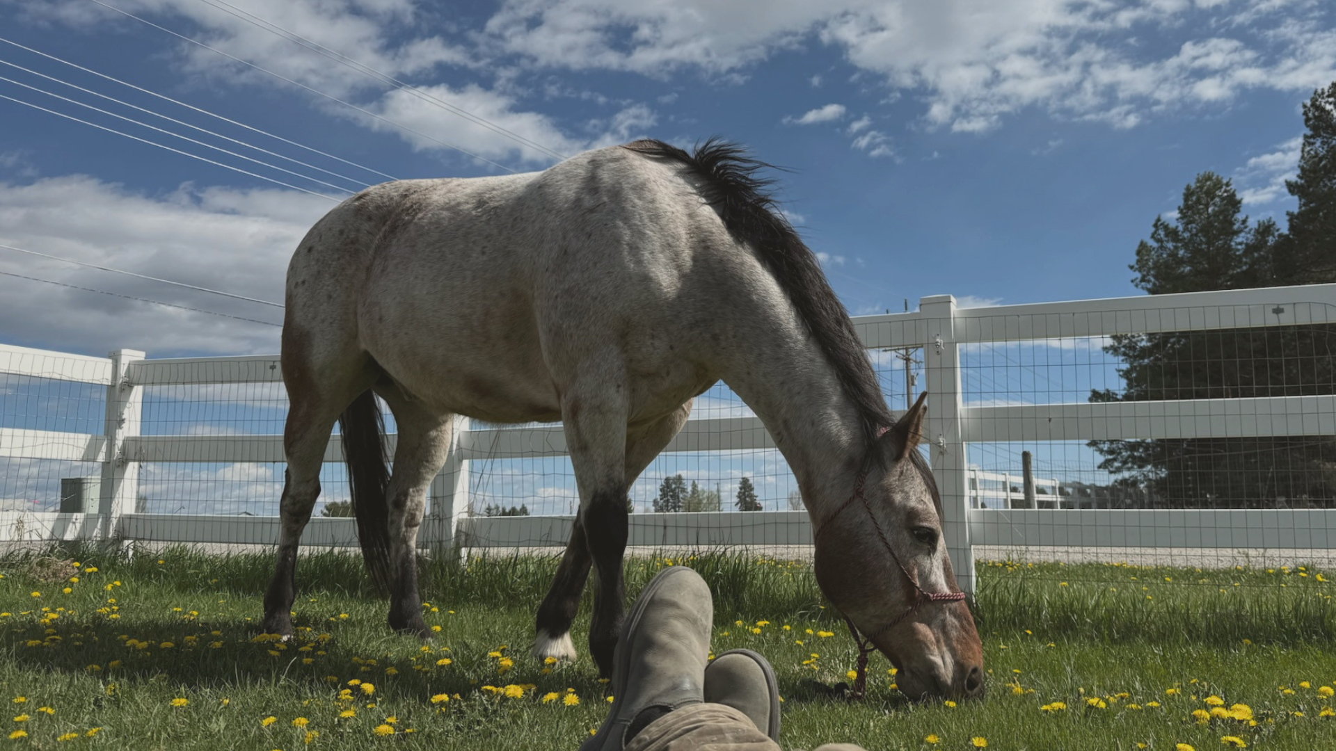 100 Faces: On Horses, Congruence, and Moments That Change Us 