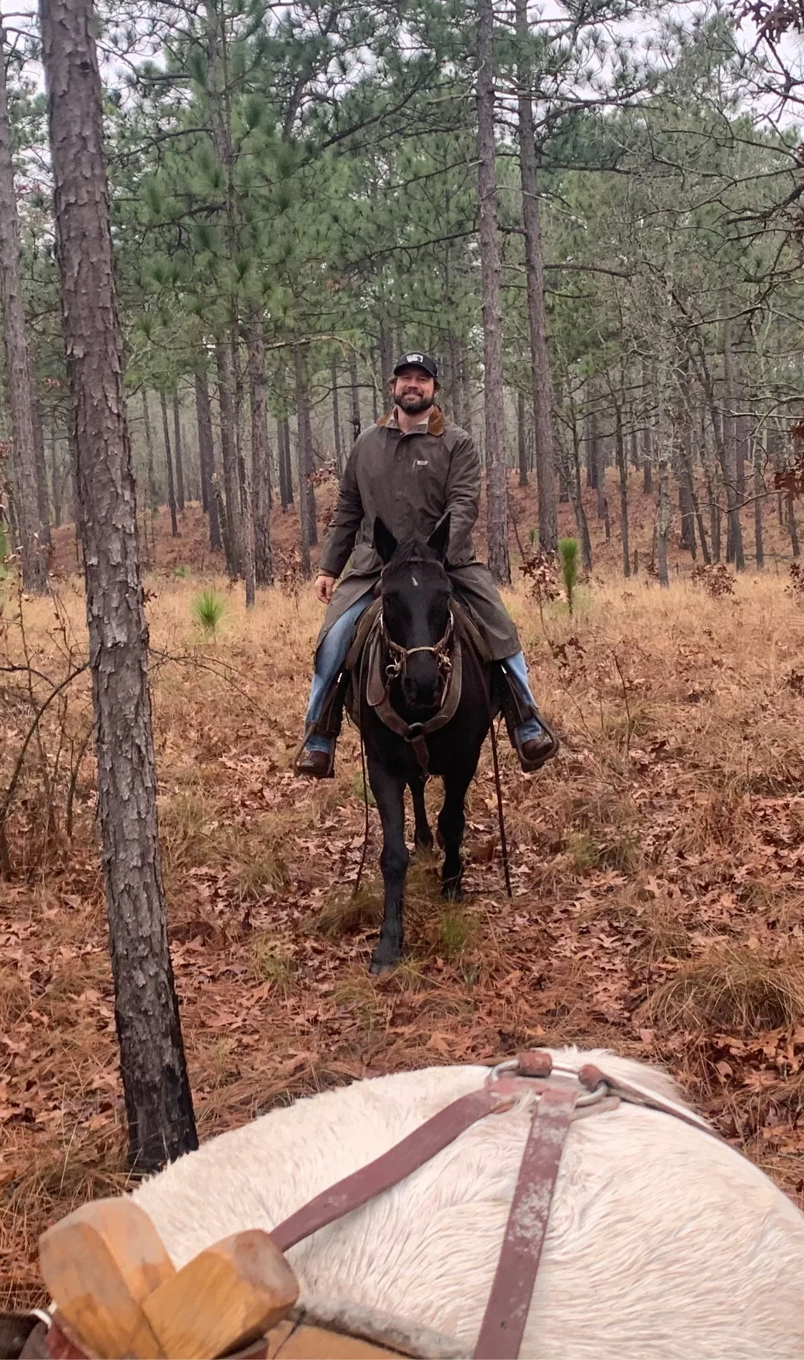 A man riding a horse through a wooded area with tall trees and dry leaves on the ground, with the front of another horse visible in the foreground.