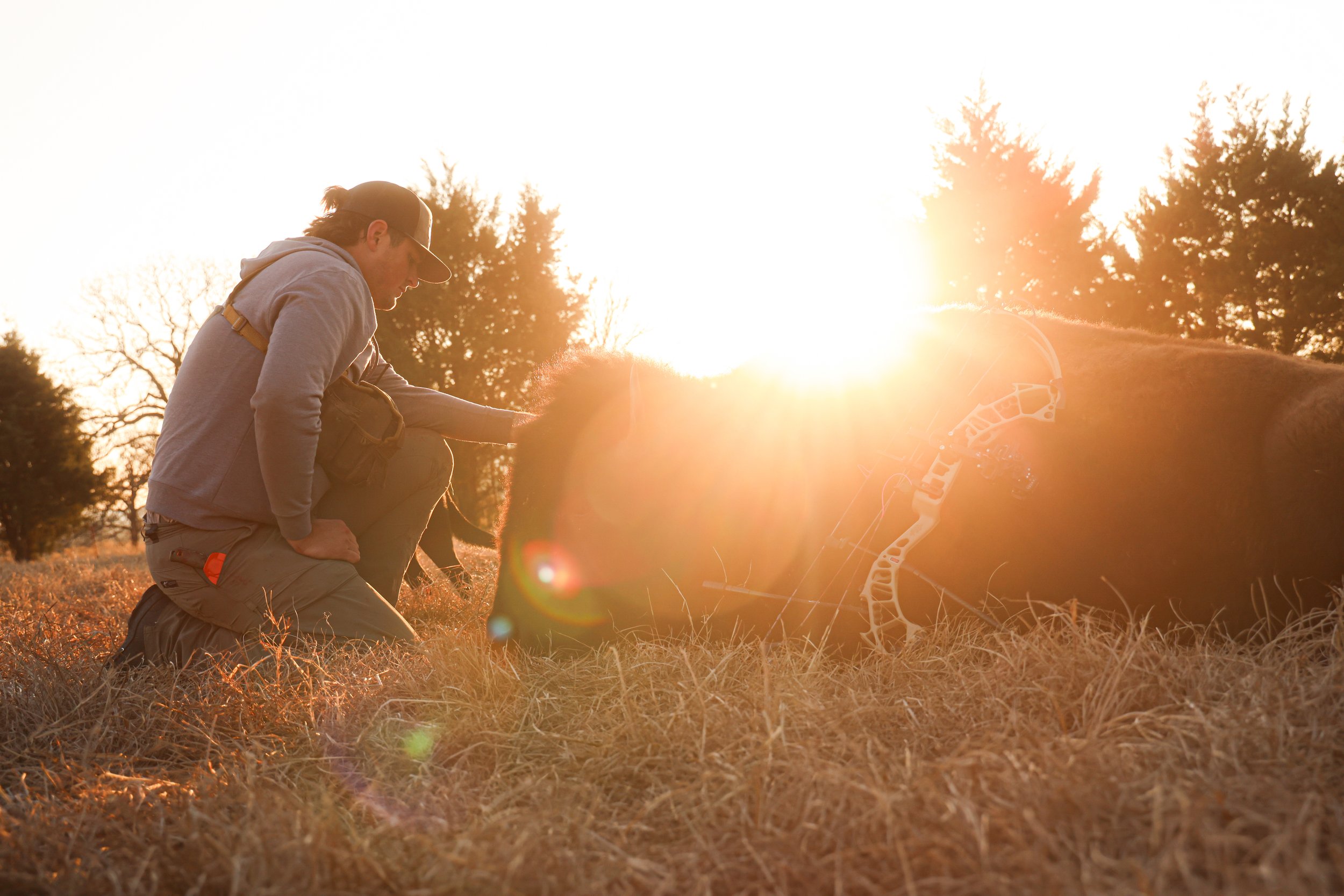 A person kneeling on the grass with a lion lying in front of them, during sunset. The person appears to be a wildlife researcher or veterinarian in outdoor gear, and the lion has a tracking collar around its neck.