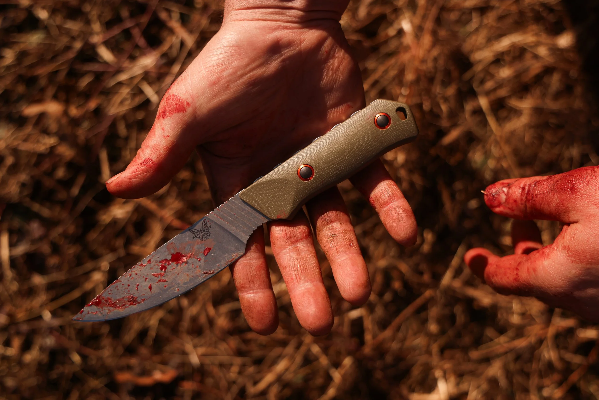 A dirty hand holding a blood-stained knife, with another blood-stained hand nearby, in a field of dry grass.
