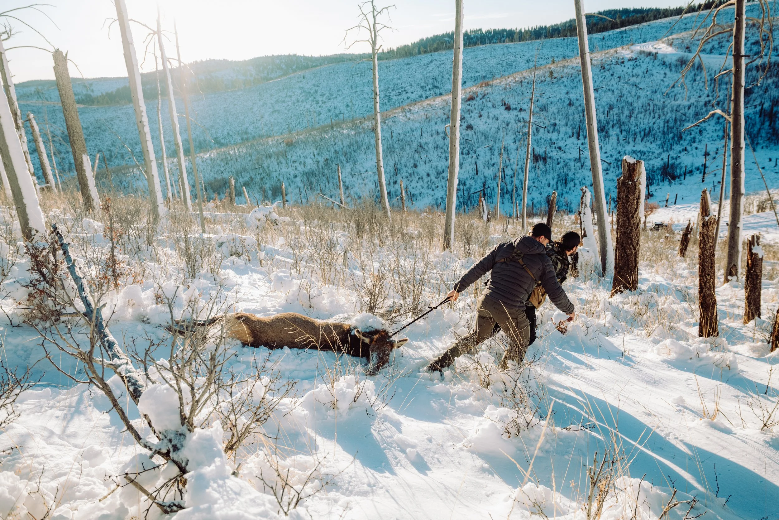 Two people running through snowy terrain while holding onto a dead animal, with a snow-covered landscape and a blue mountain in the background.