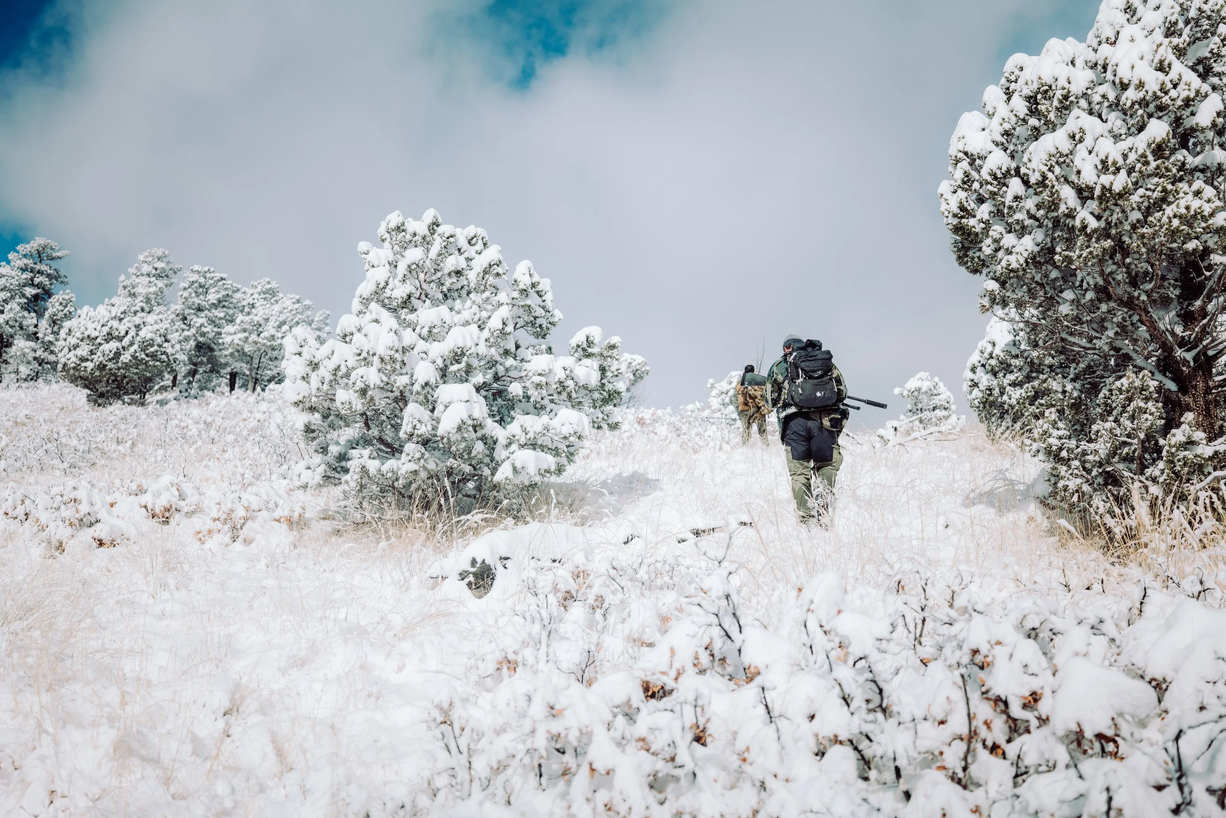 Hikers walking in a snow-covered mountain landscape with trees and cloudy sky.